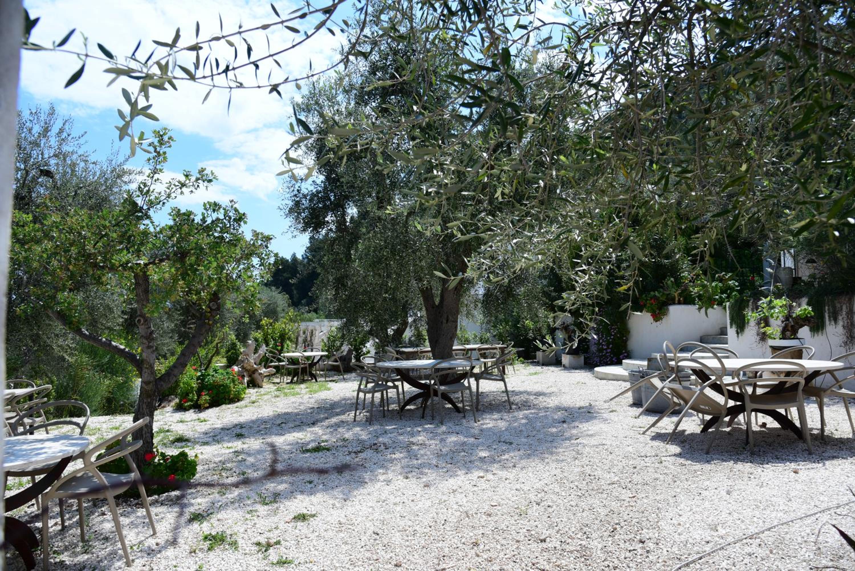 HMO Glamping & Suites in Vignanotica view 4