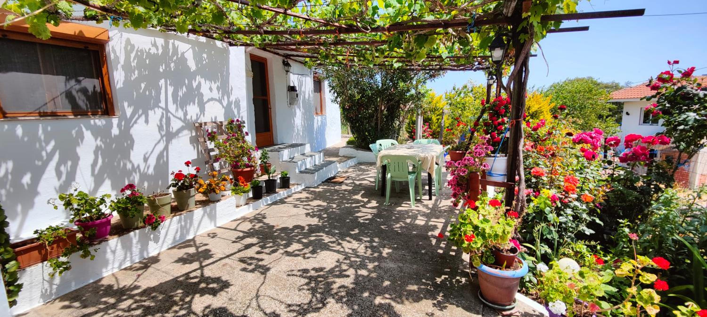 Dalis House view 2