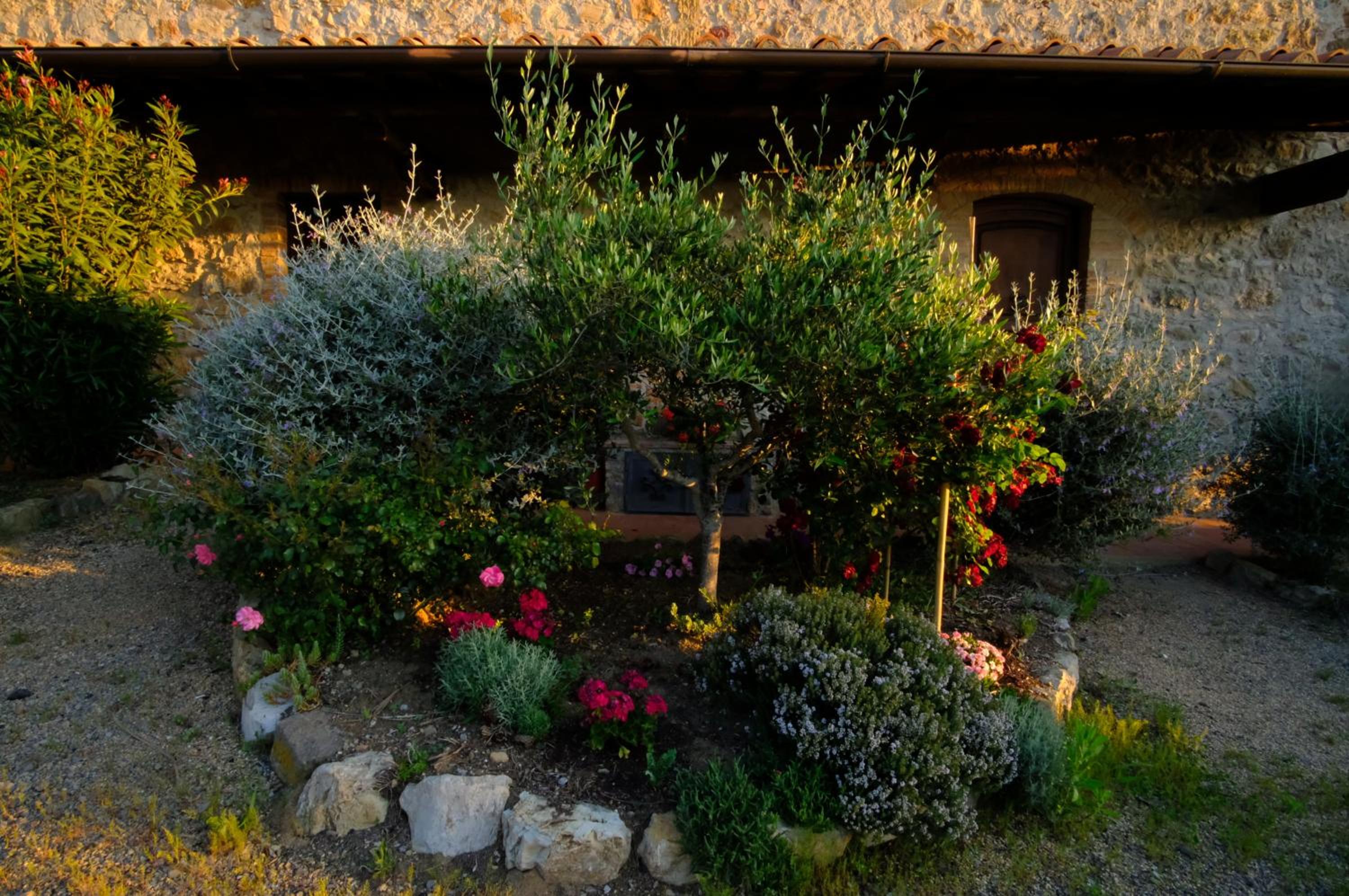 Agriturismo LUCERTOLA