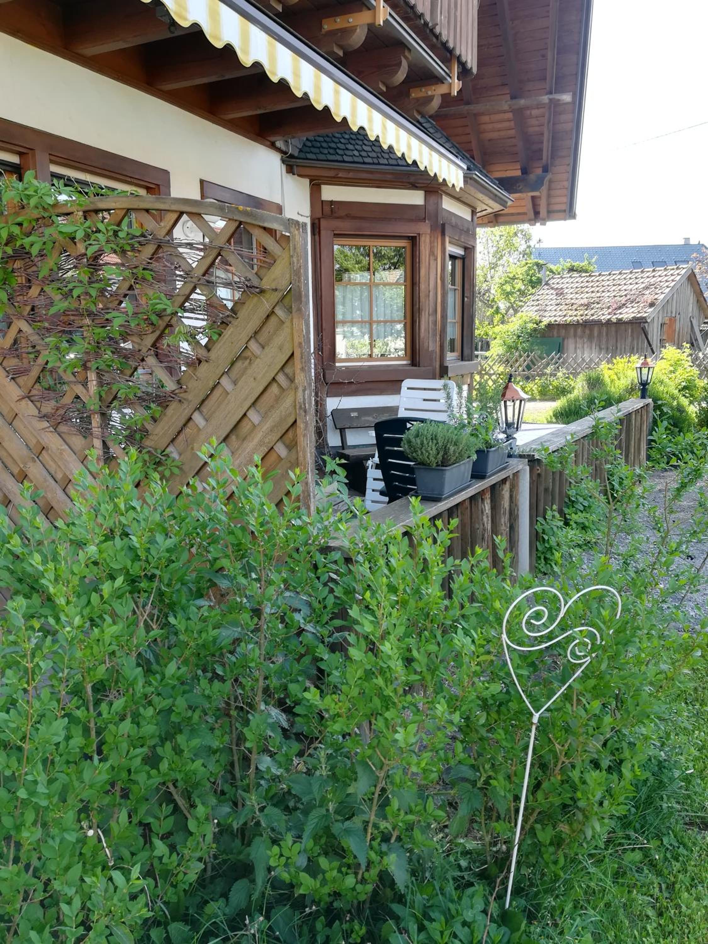 Photo 42