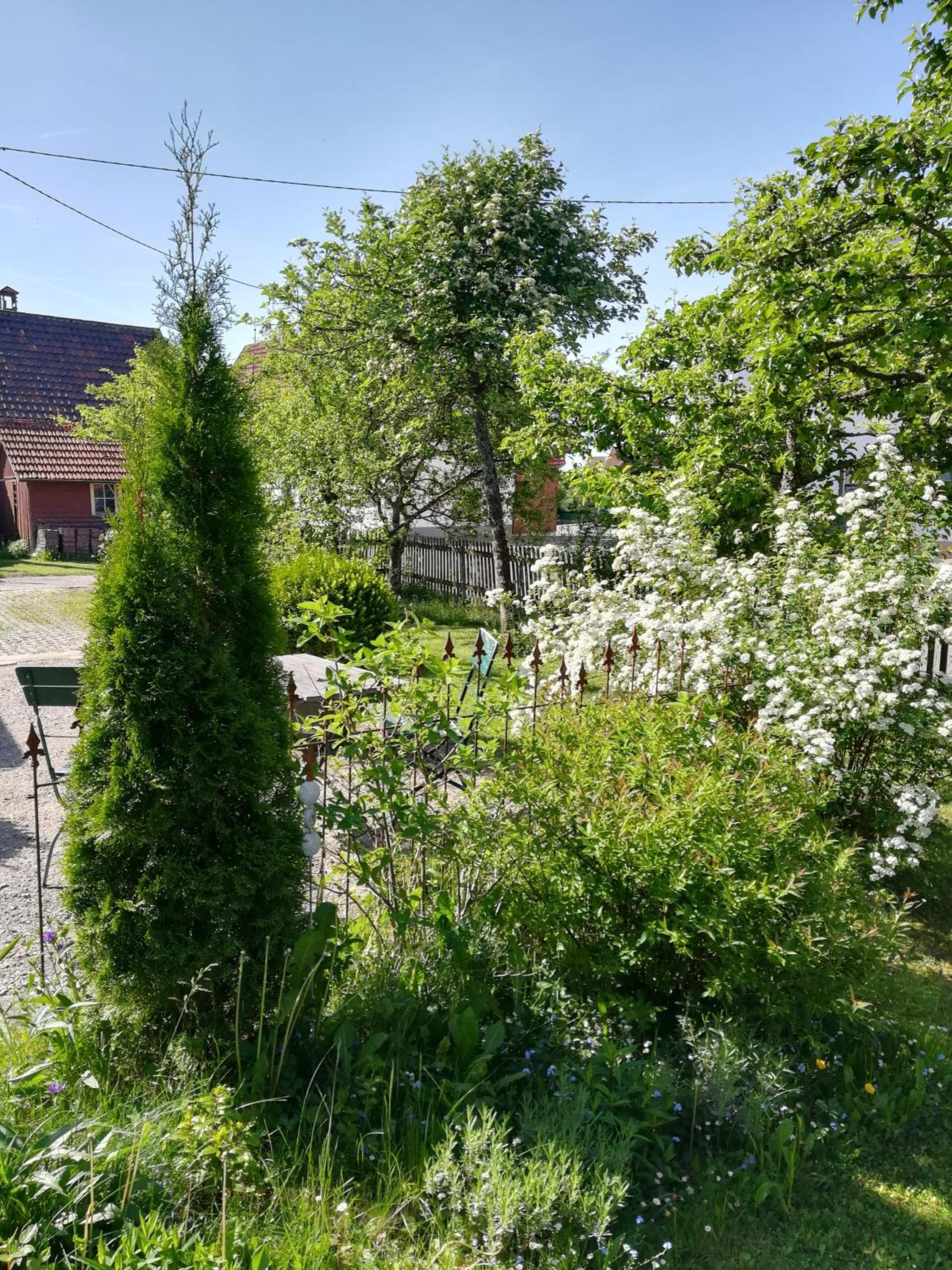 Photo 40