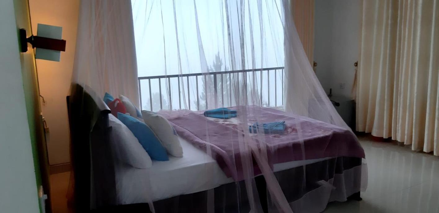 Hill Forest Cottage