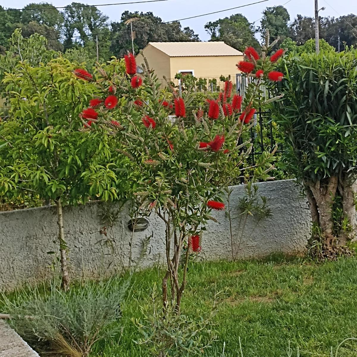Photo 27