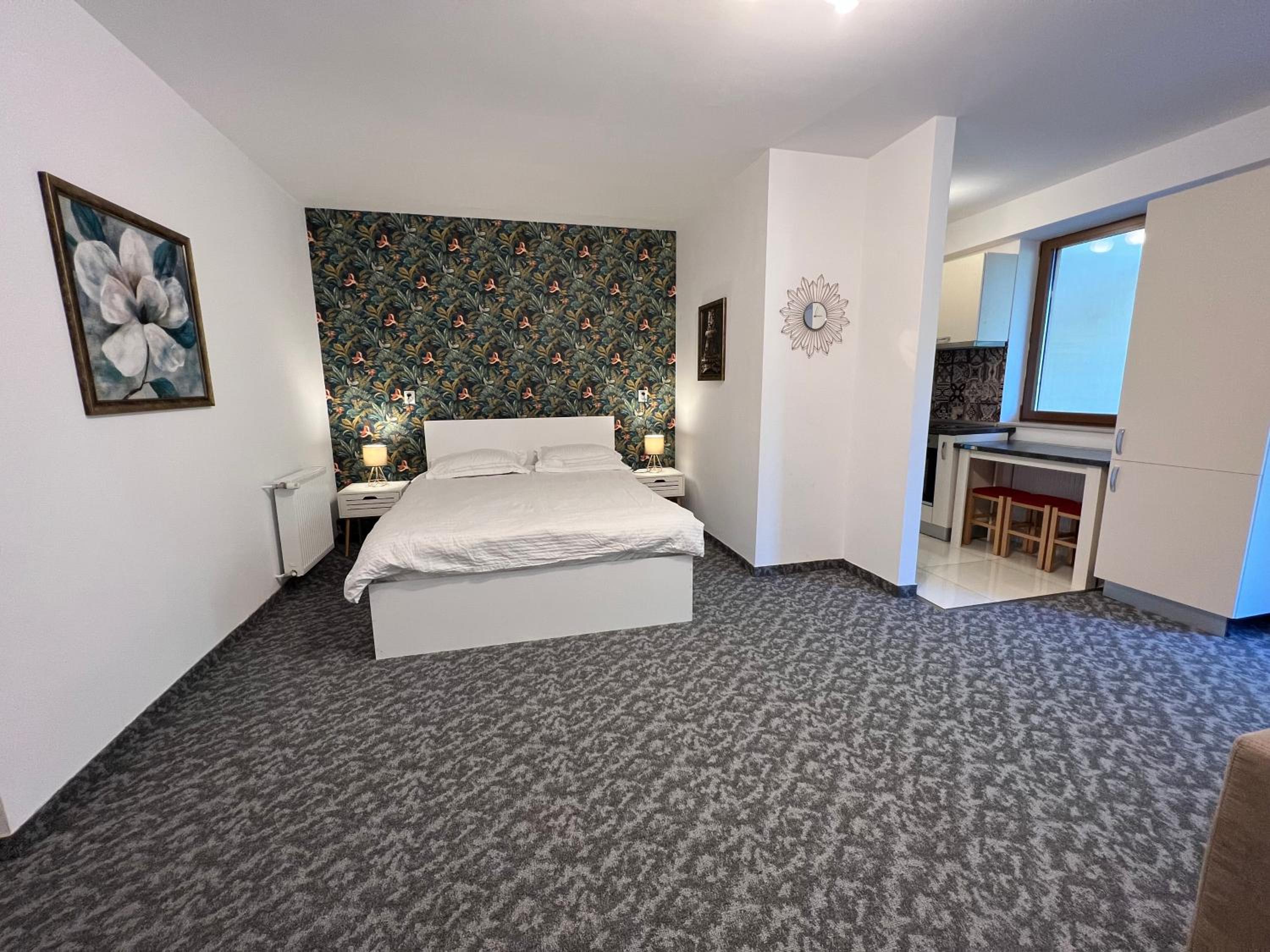 Coroni Studio Cu Jacuzzi Pe Terasa view 3