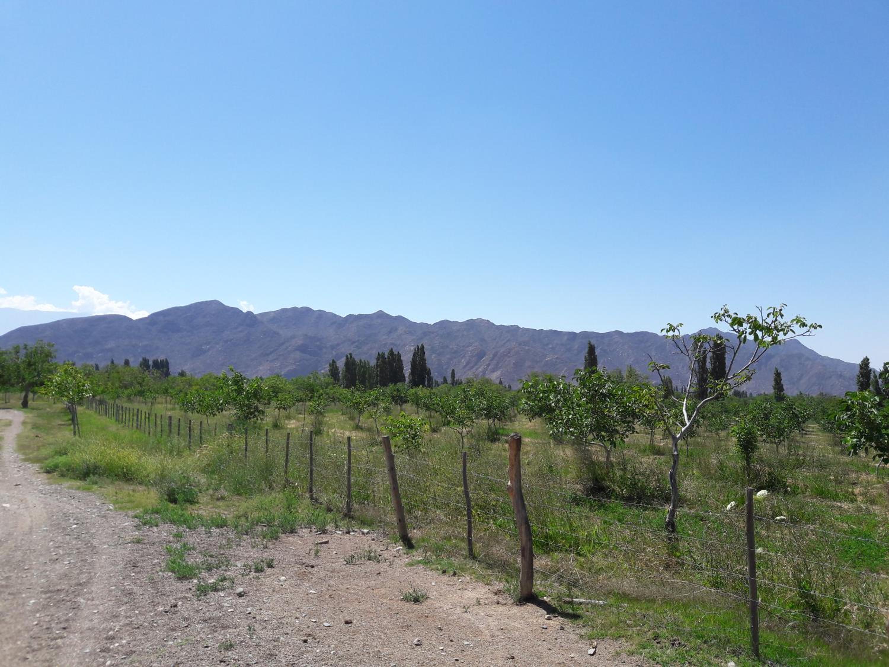Cuesta de san miguel