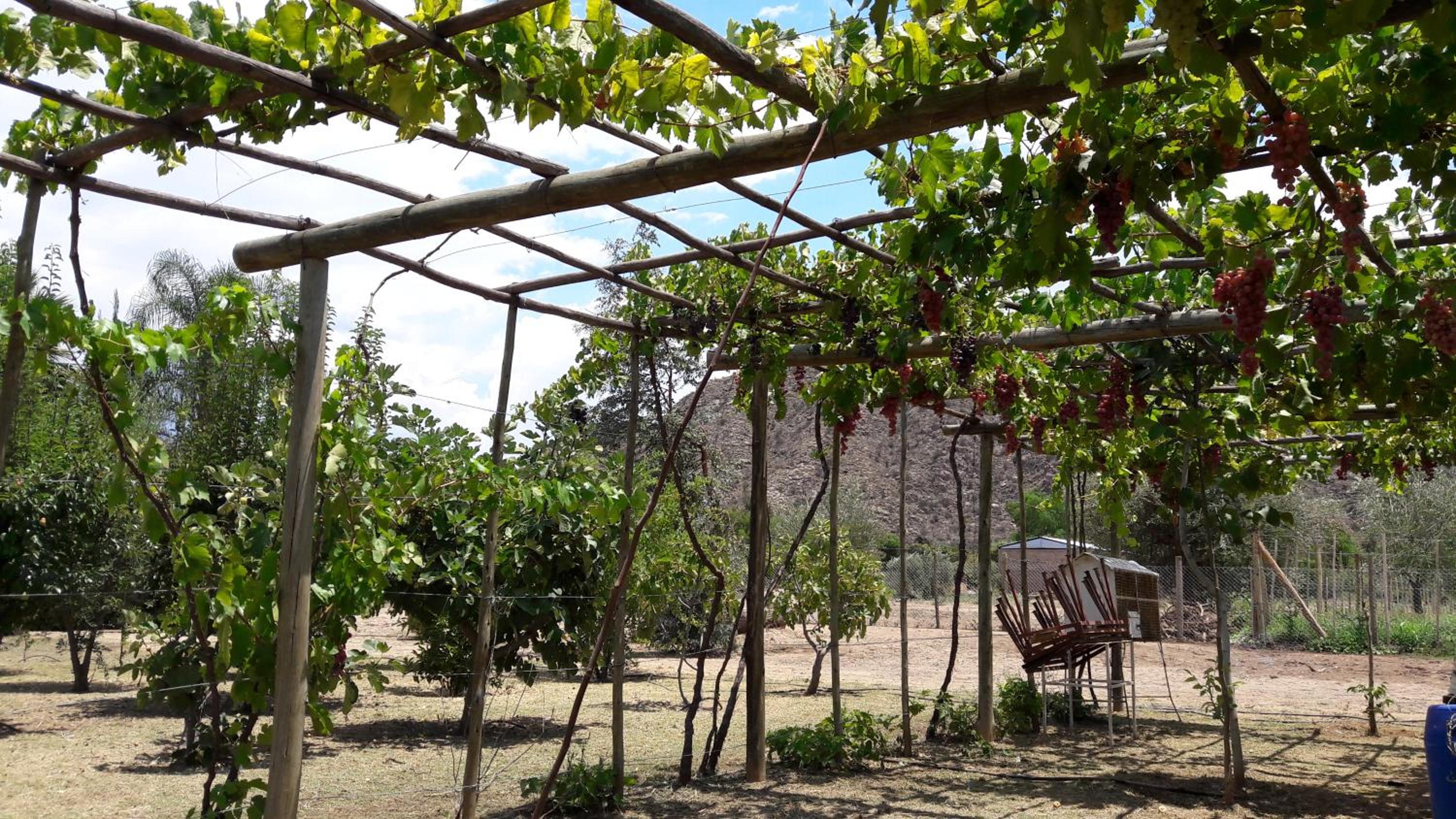 Cuesta de san miguel