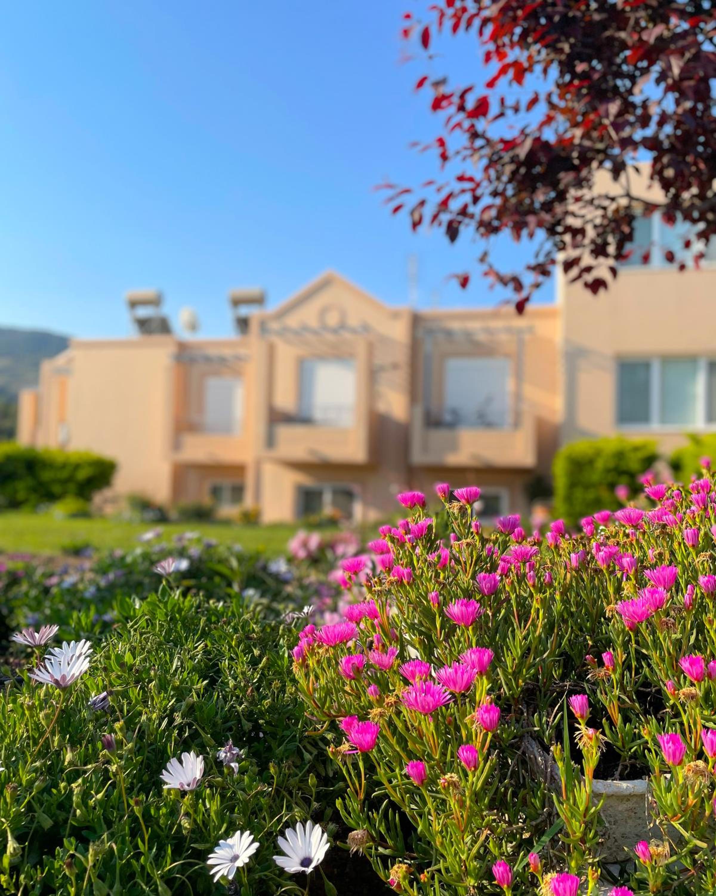 Casa Verde Houses photo 2