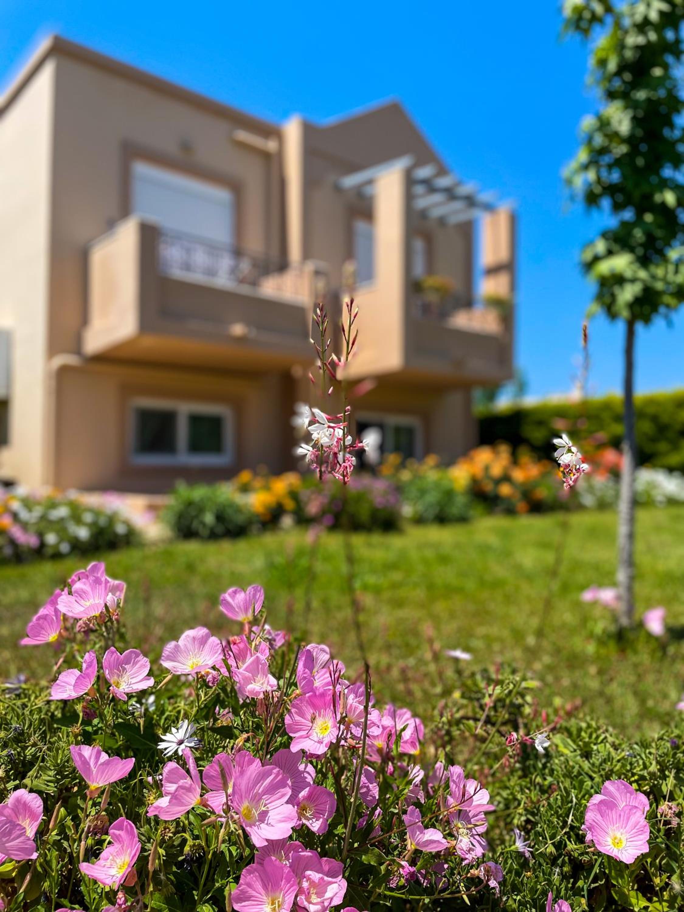 Casa Verde Houses photo 4