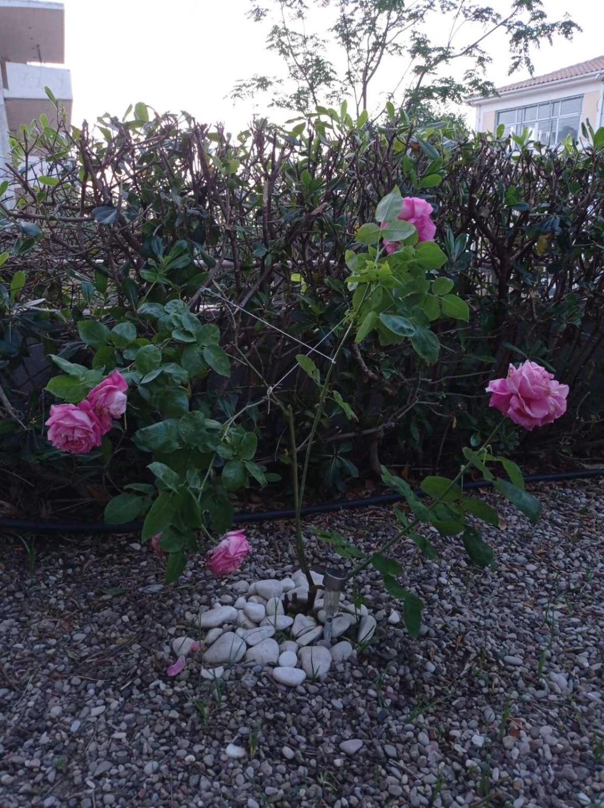 Photo 47