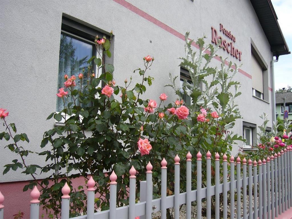 Pension Sonnenschein