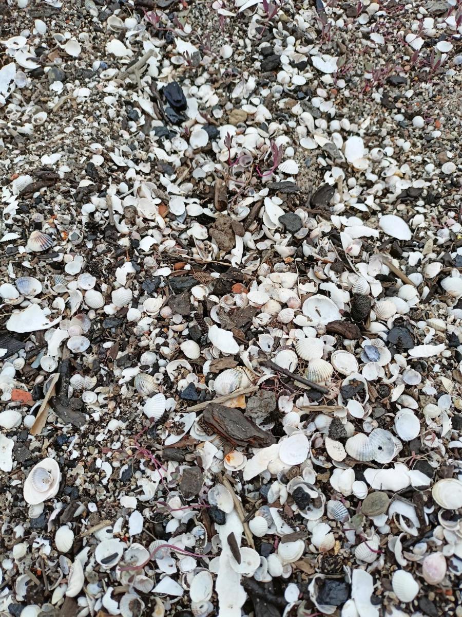 Photo 47