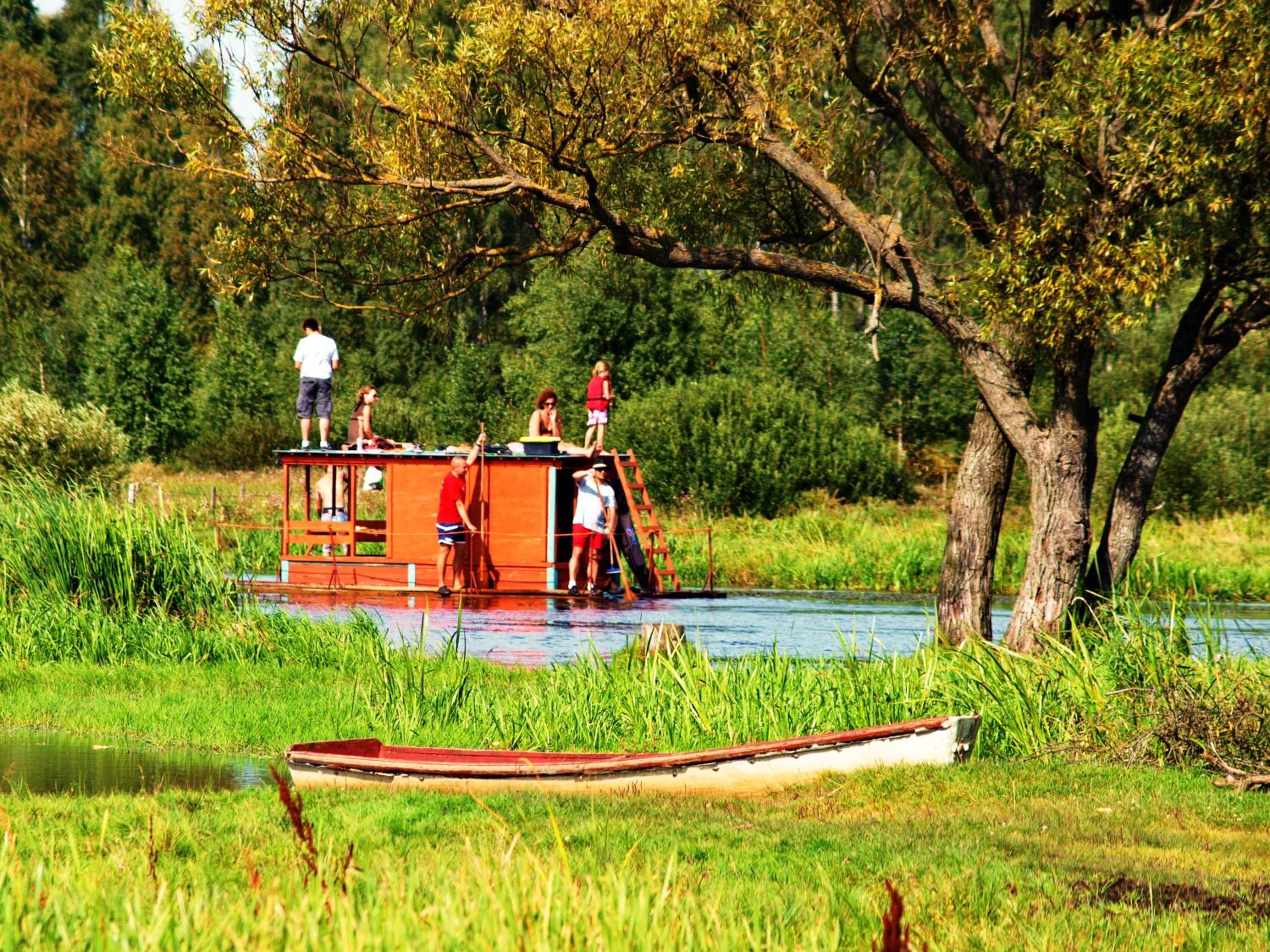 Photo 42