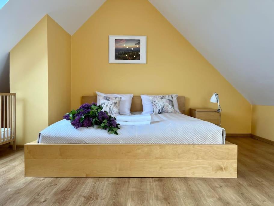 Apartament Hemingwaya
