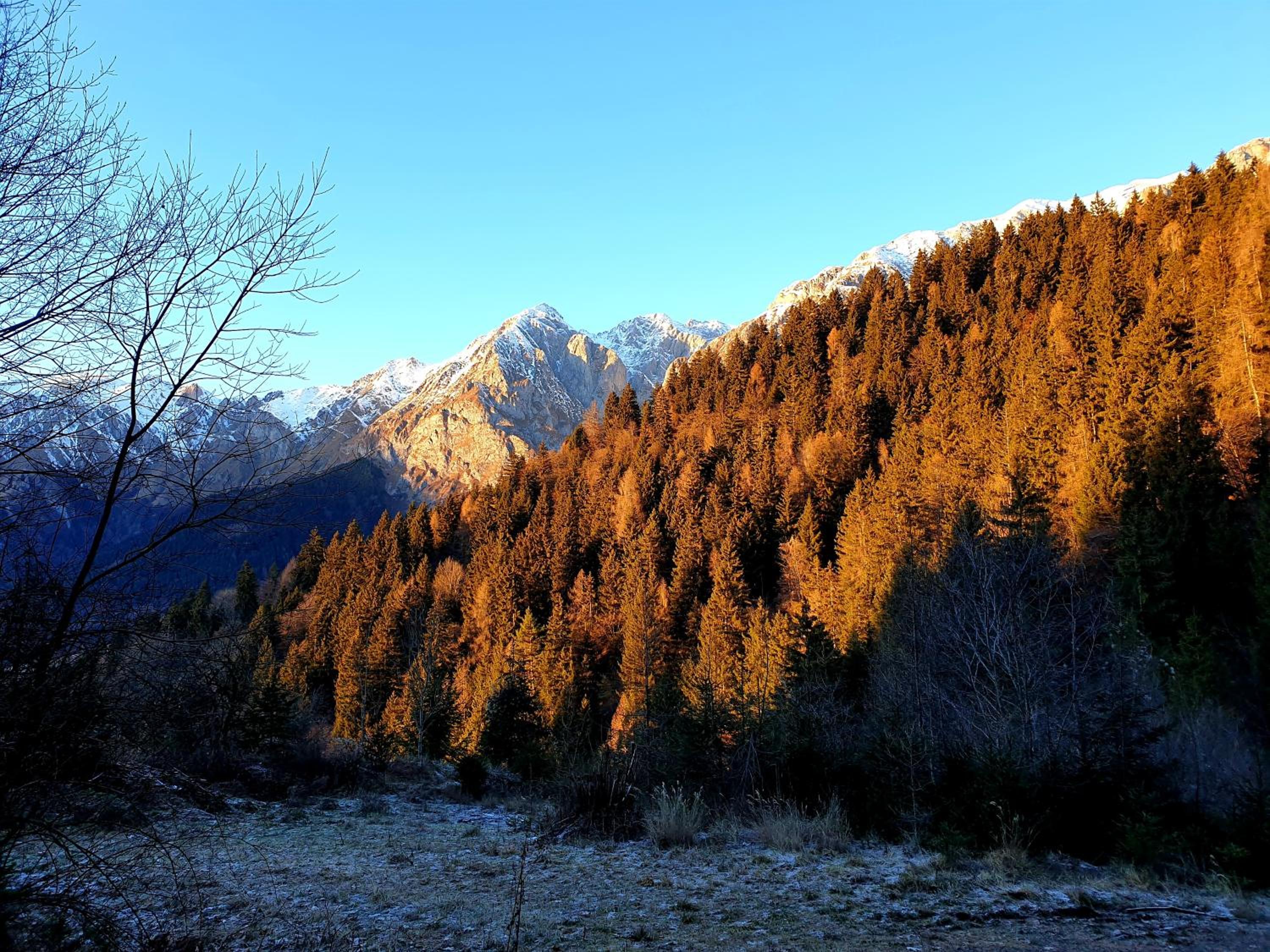 Photo 46