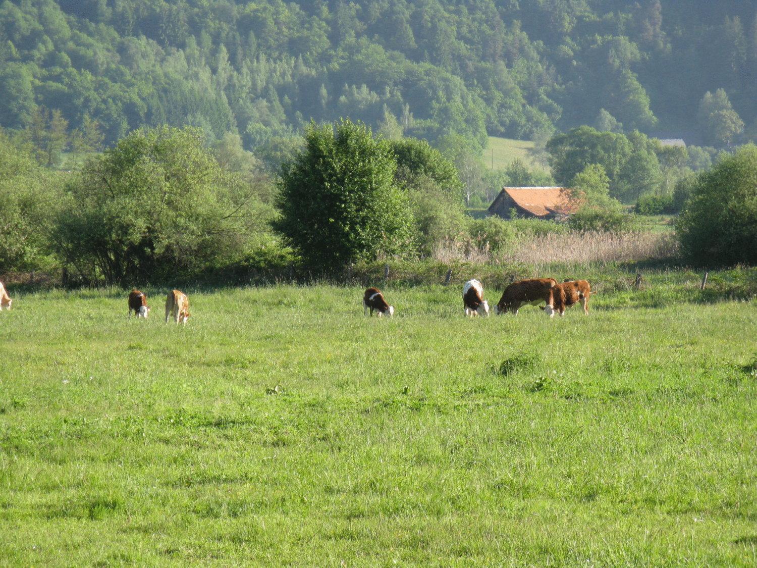 Gasthof Laggner
