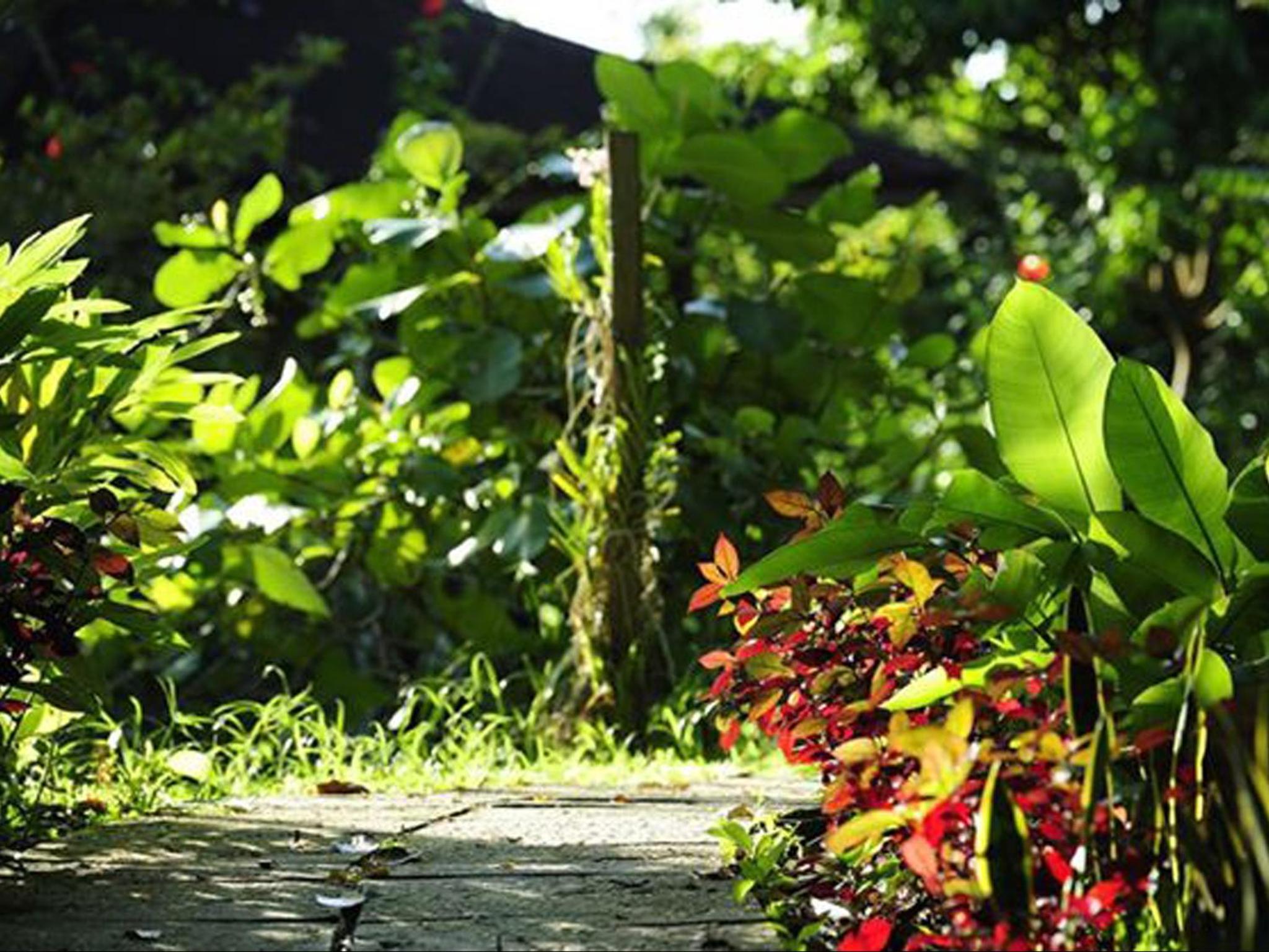 Sepilok Forest Edge Resort