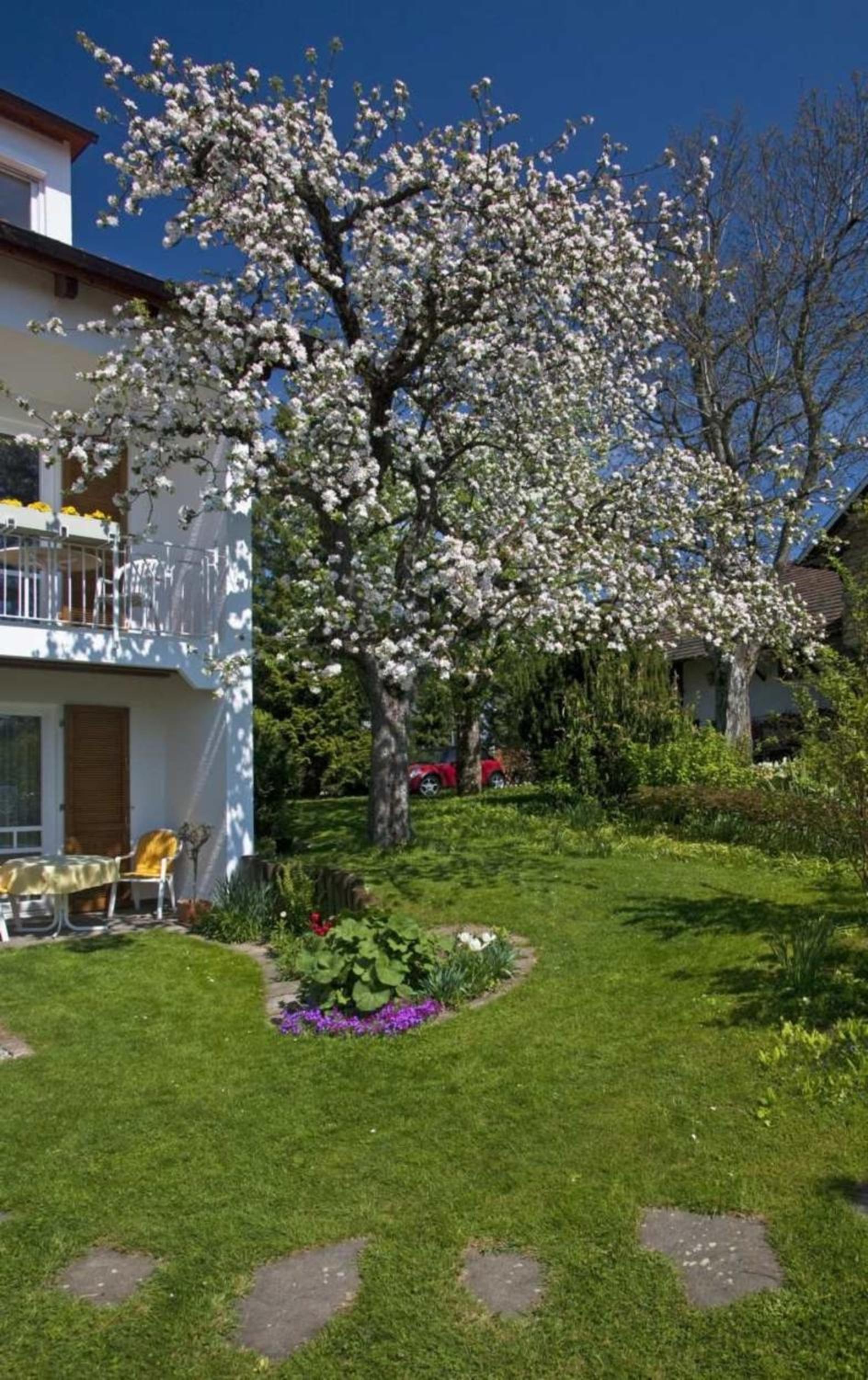 Ferienwohnung Säntis