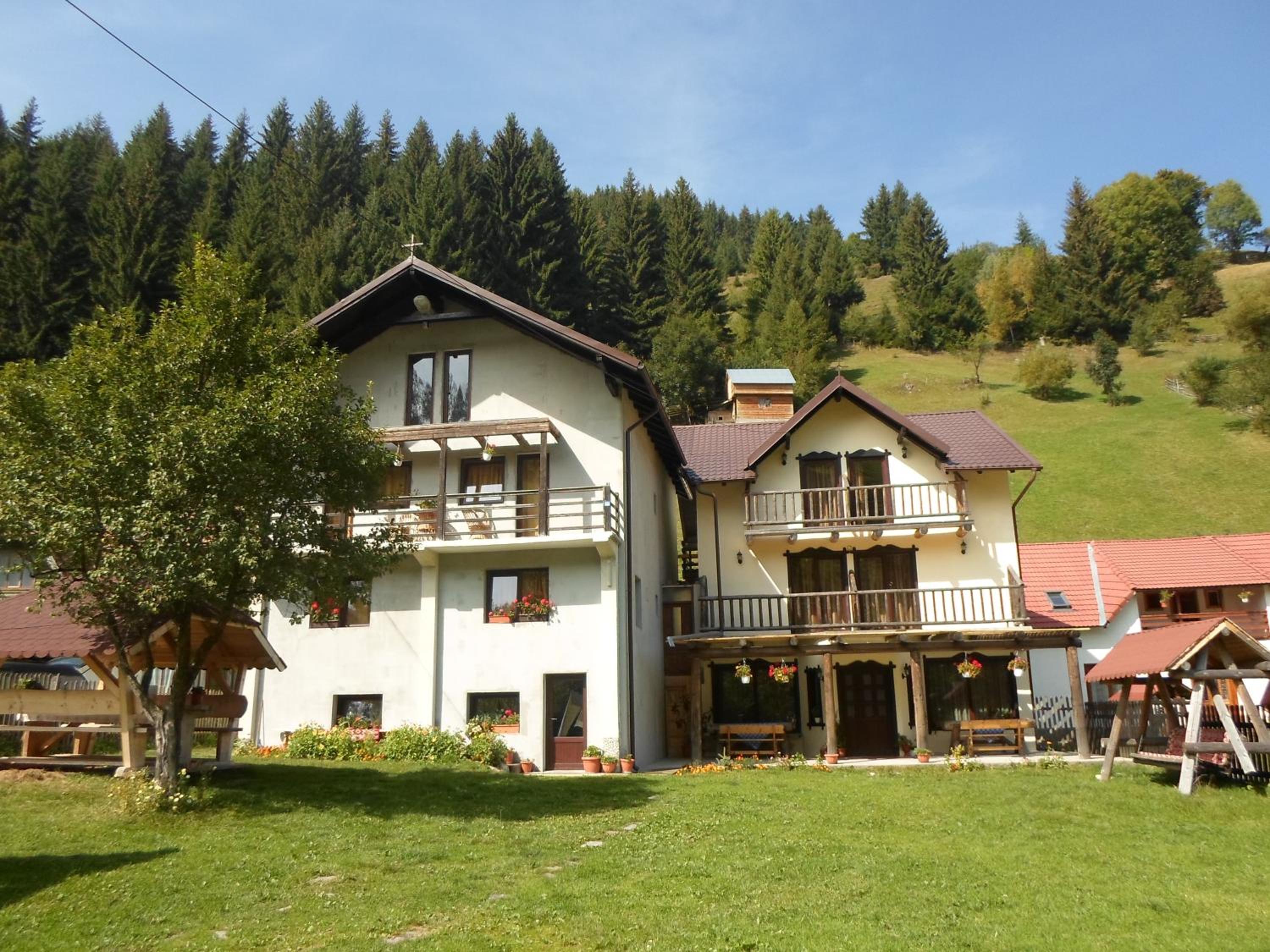 Pensiunea Puiu view 3