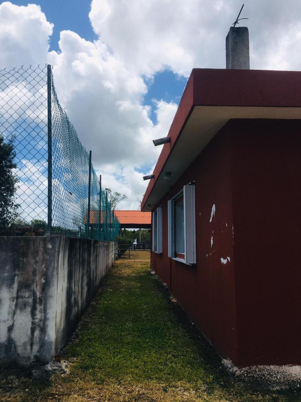 Photo 21