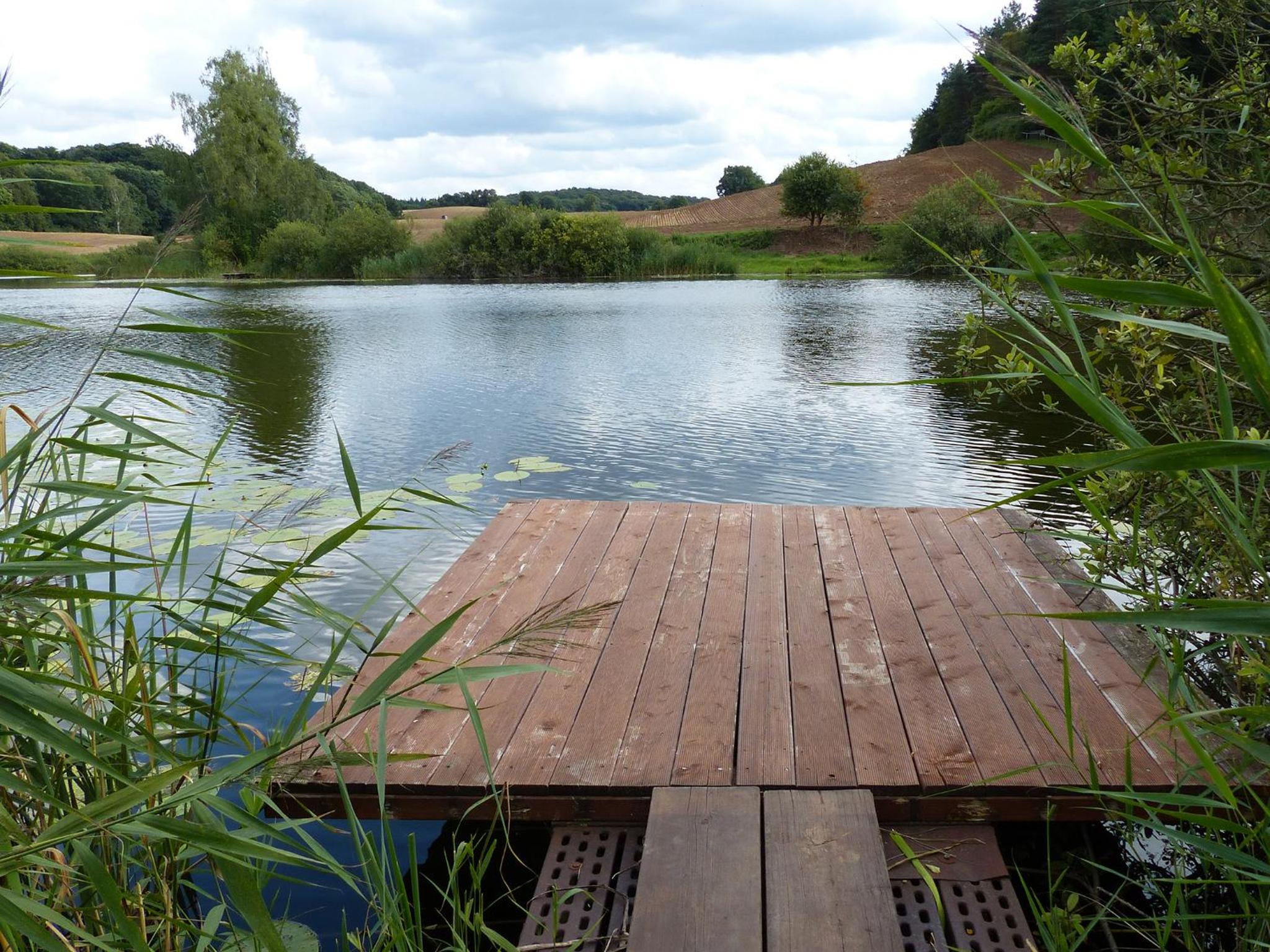 Villa am Trumpf - Design-Appartements im Naturgarten am See view 5