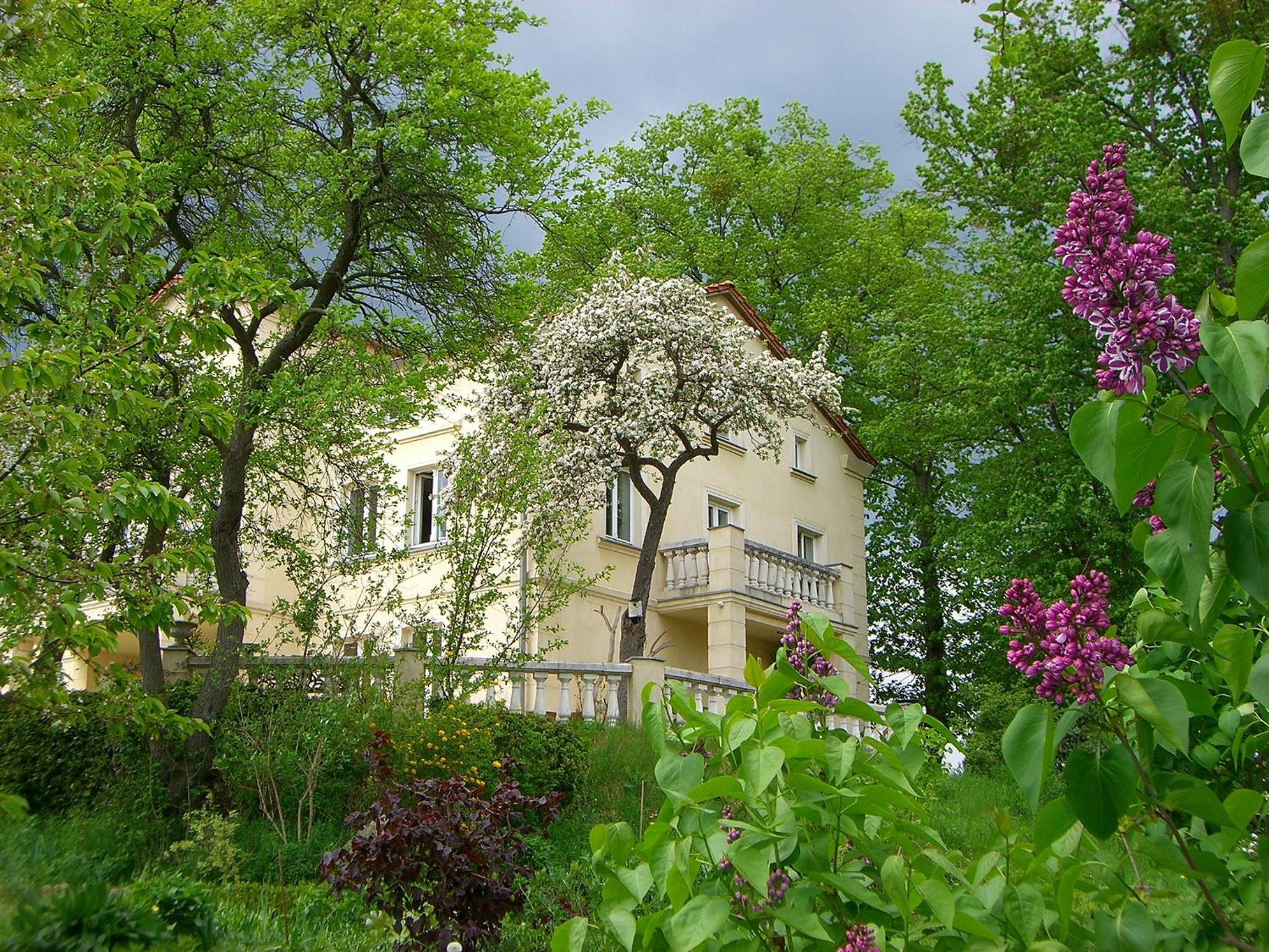 Villa am Trumpf - Design-Appartements im Naturgarten am See view 3