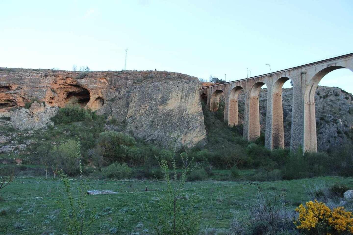 Photo 8