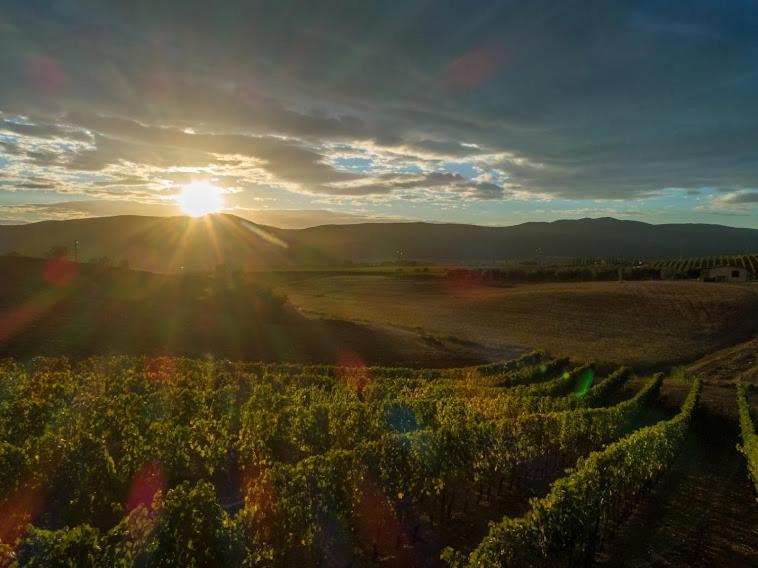Agriturismo Fusini