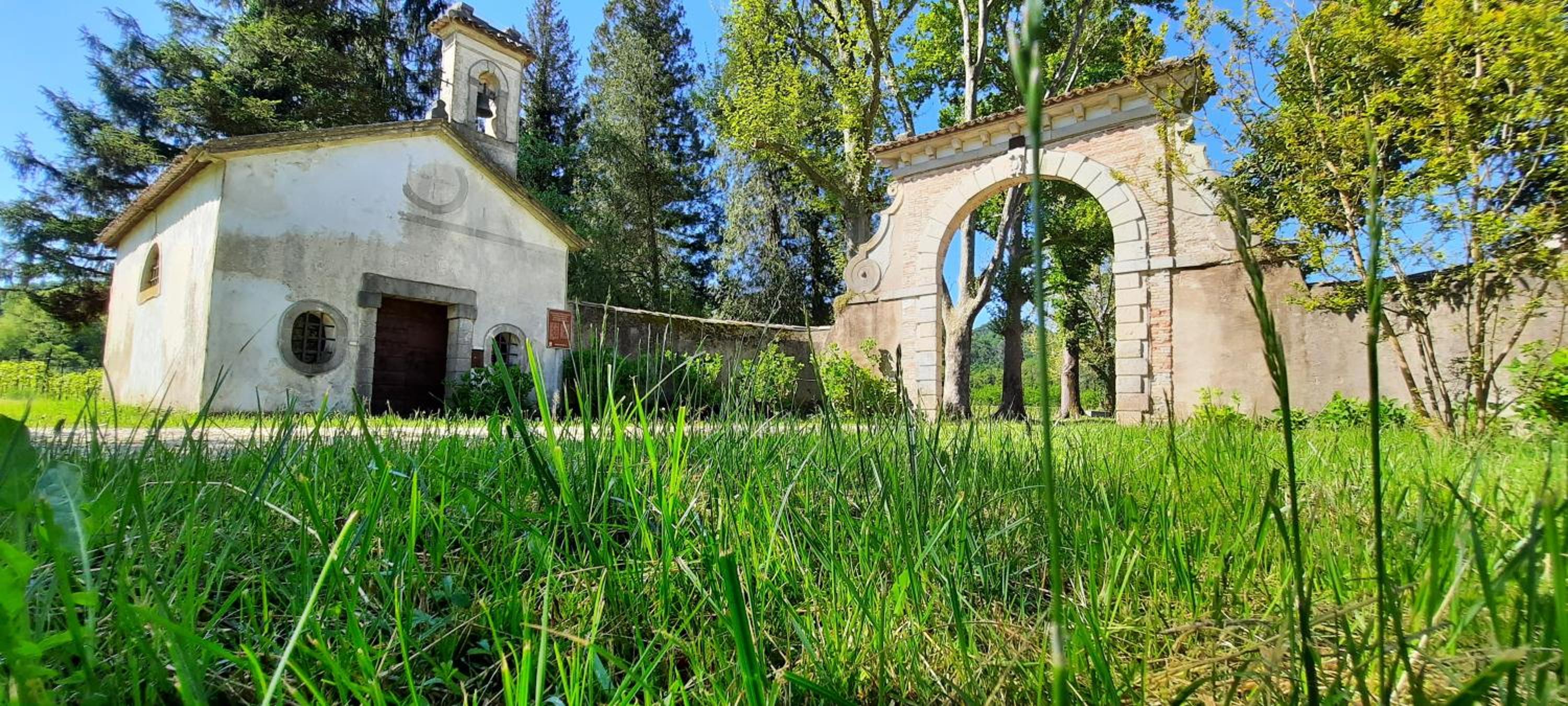 Photo 31