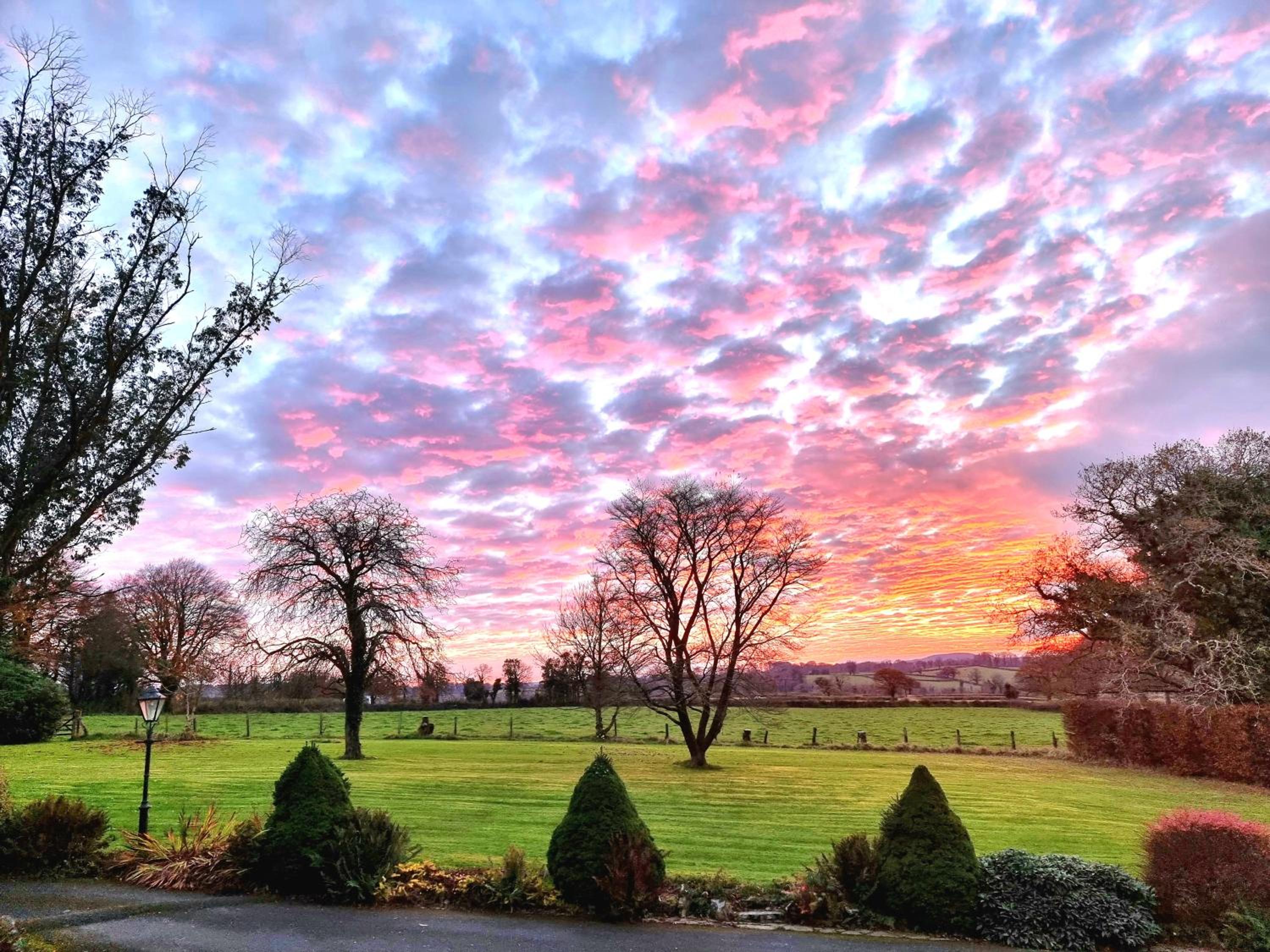 Okehampton Vacations - Collaven Manor - Property Image 10