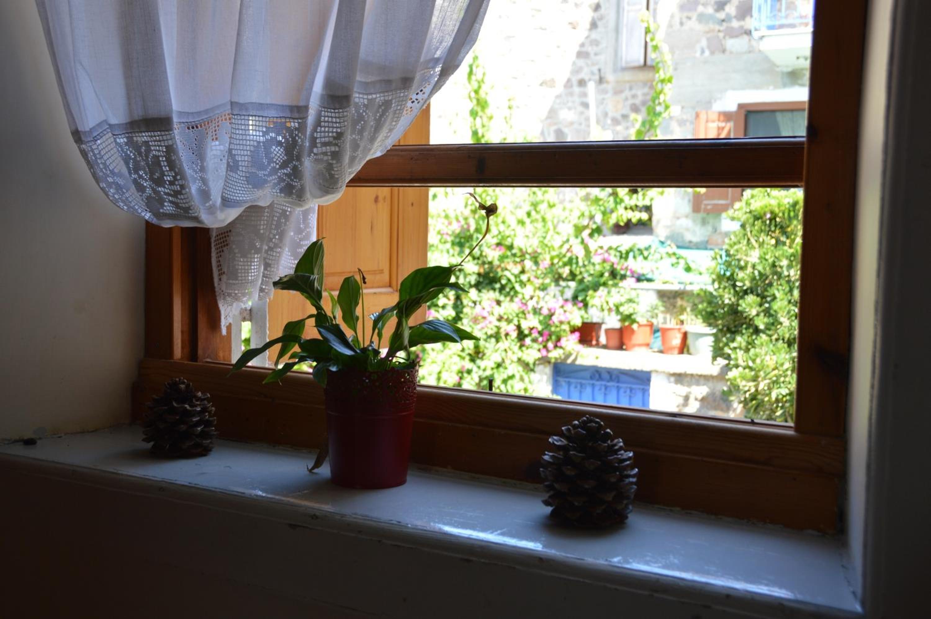 Photo 58