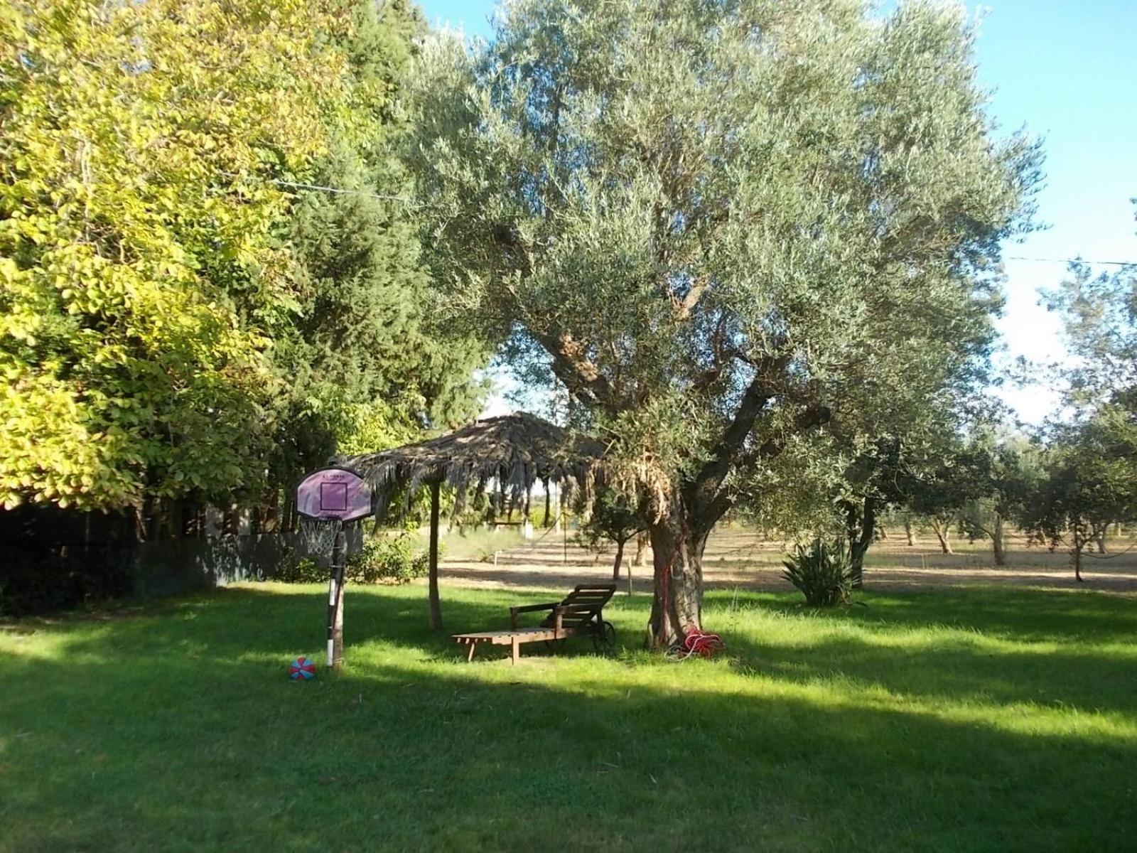 B&B Villa I 2 Leoni, photo 39