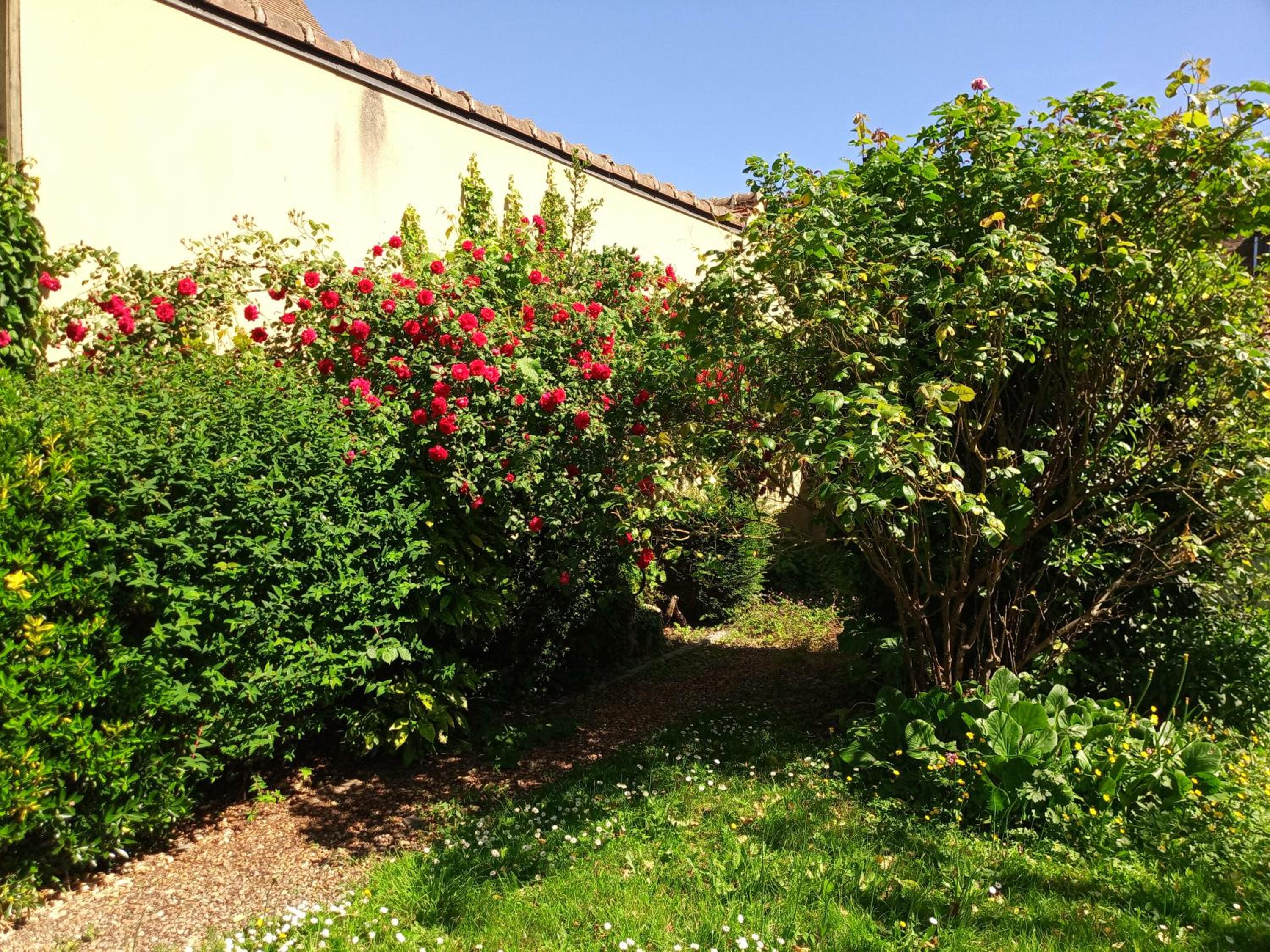 Photo 8