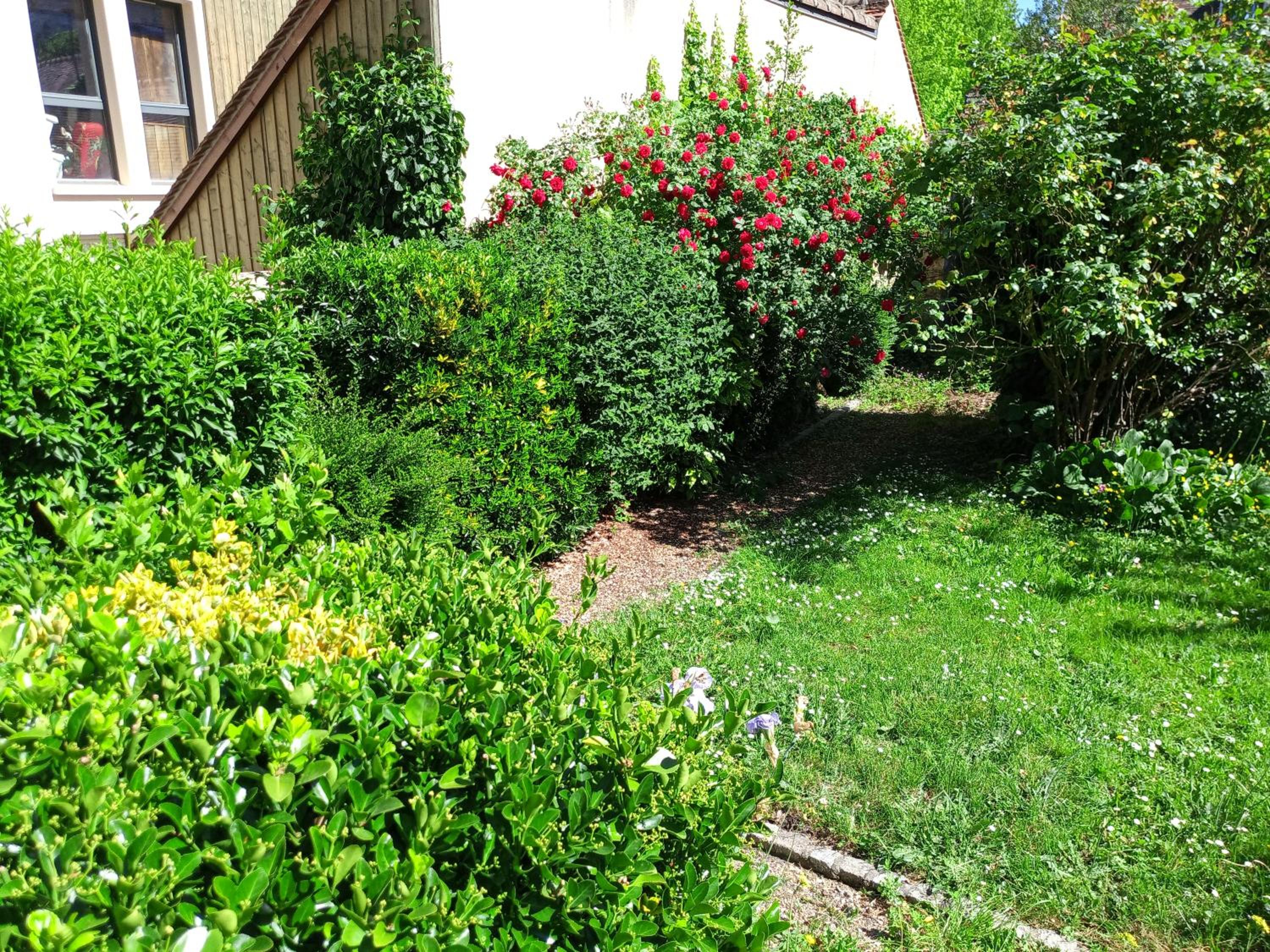 Photo 10