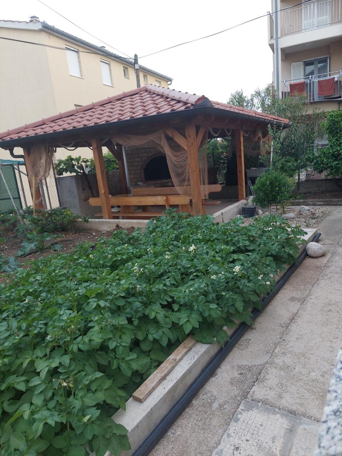 Photo 17