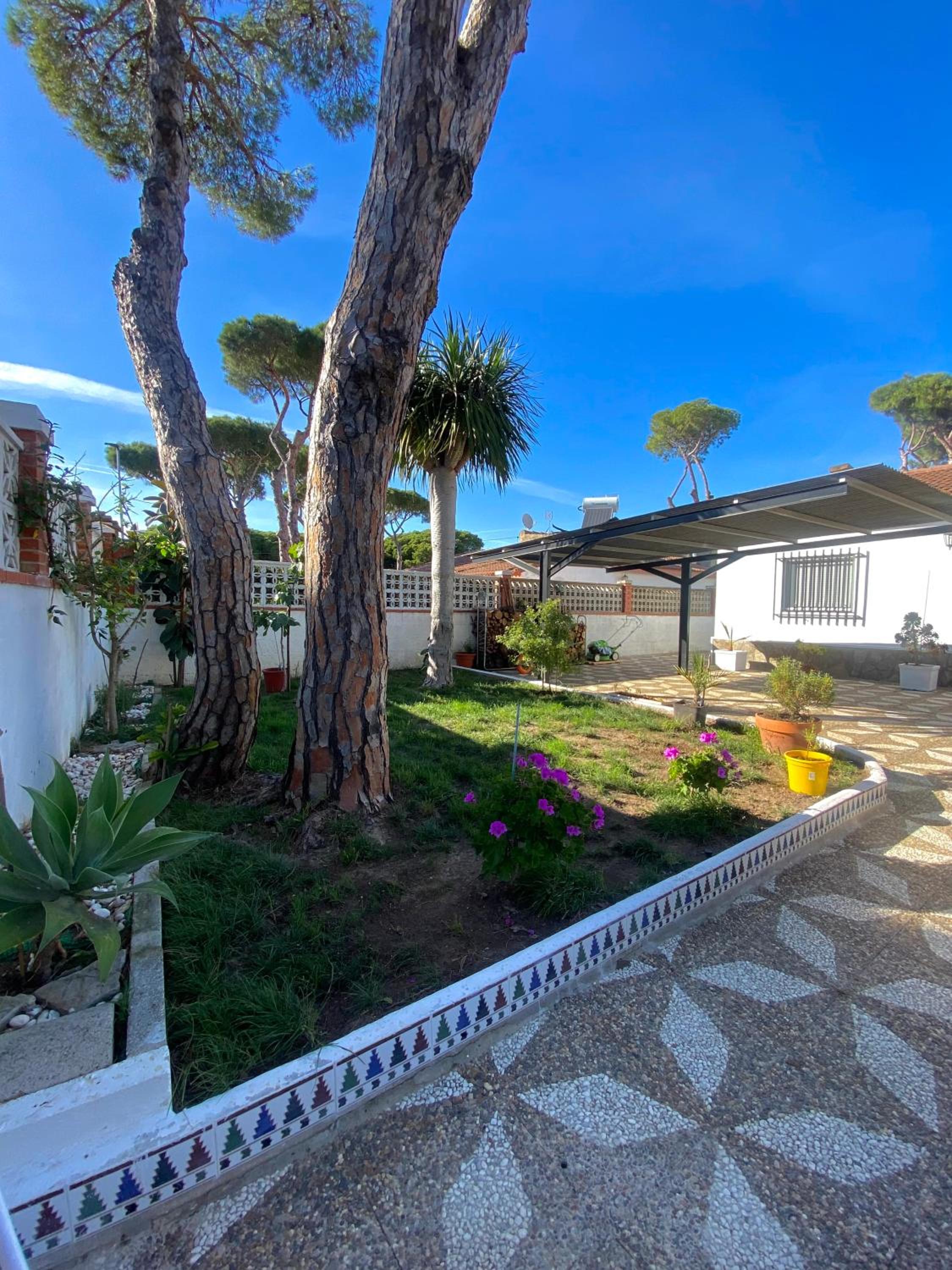 Galatea Chiclana view 4