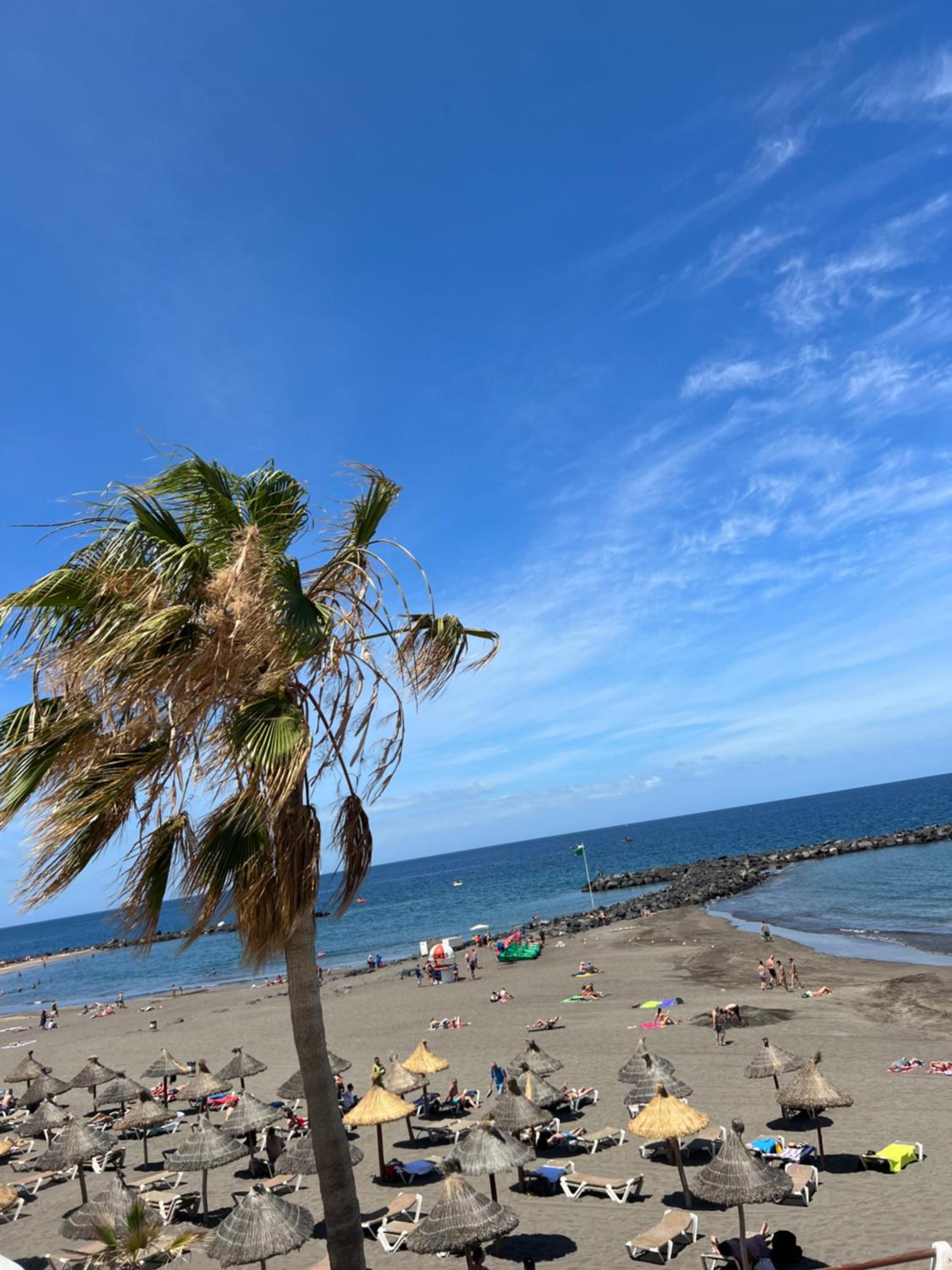 Fantastic Bungalow Playa de Las Américas photo 3