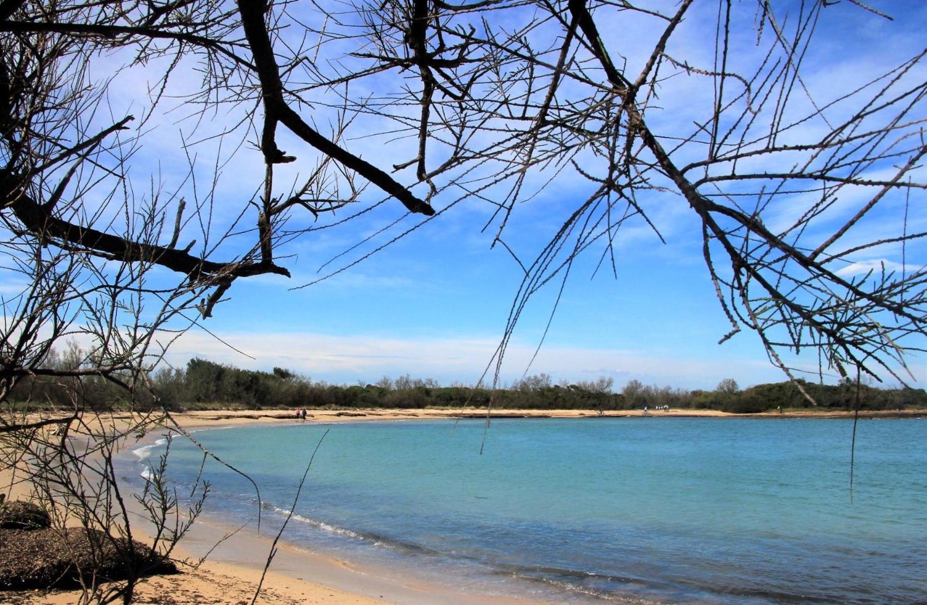 CASA AMMARE - Beach House - Ostuni view 3