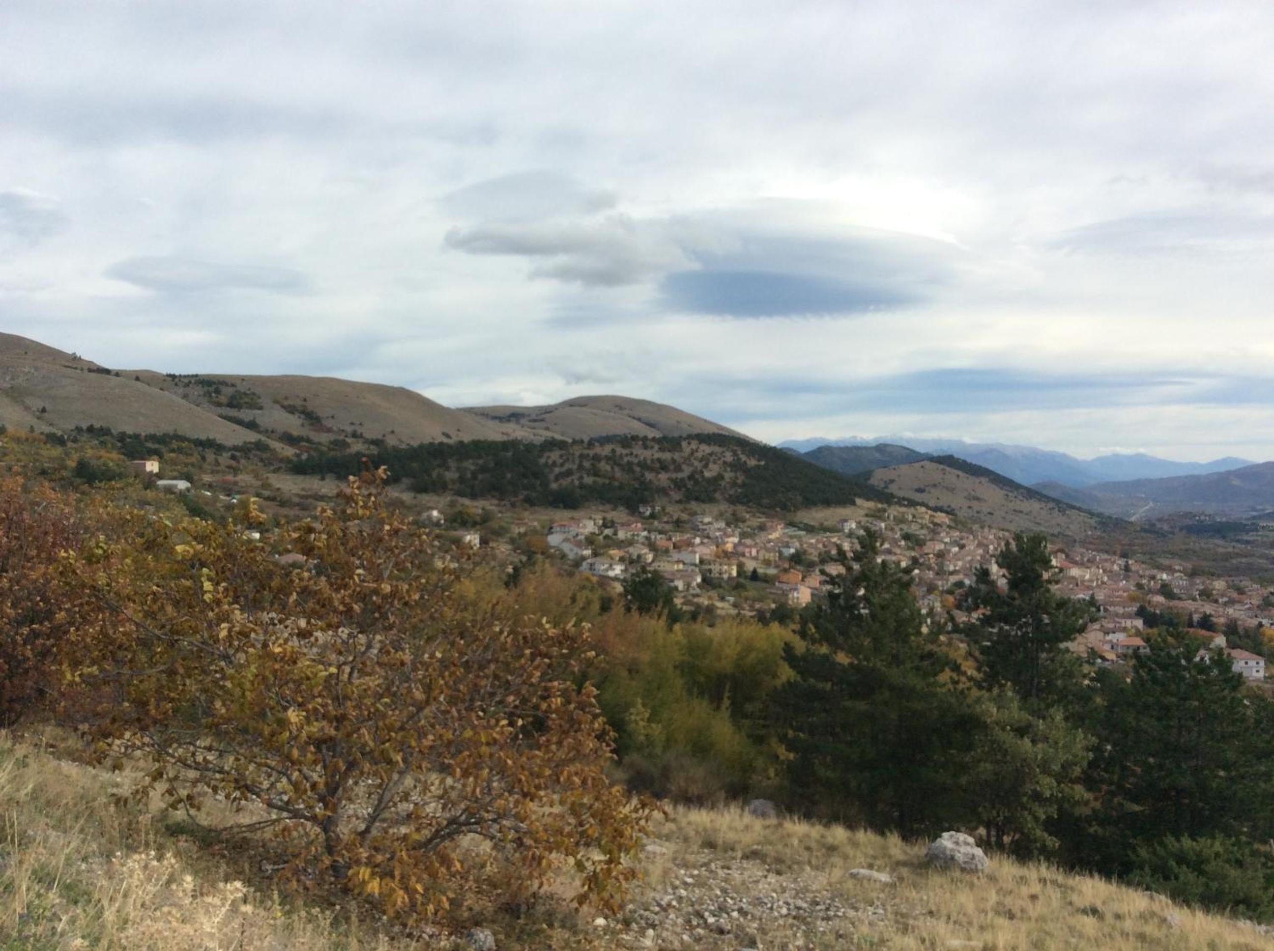 Photo 41