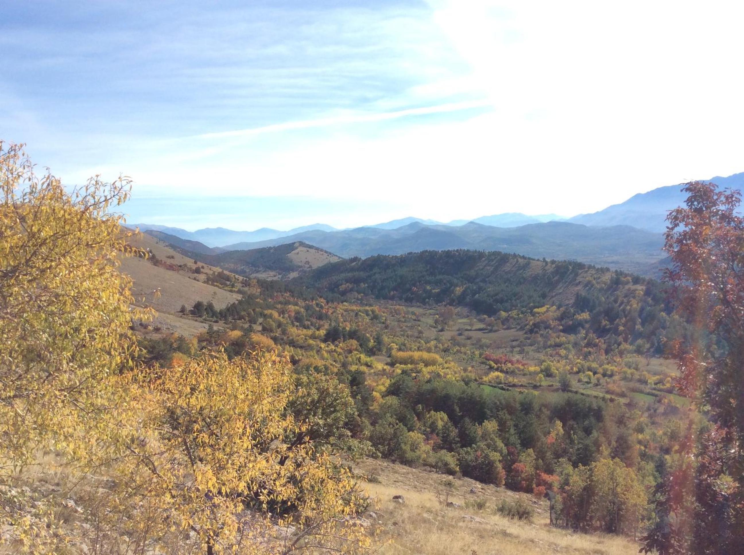 Photo 48