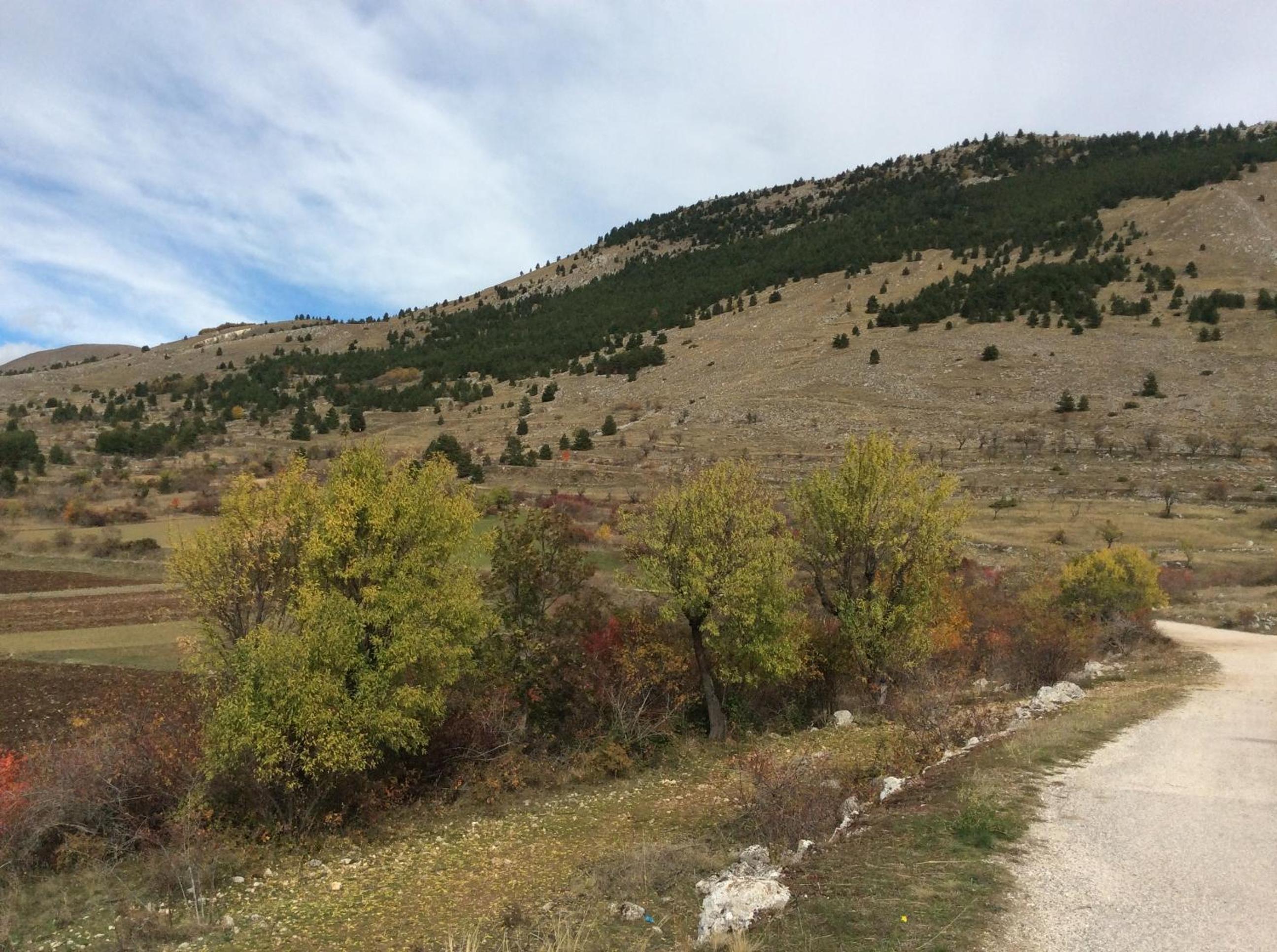 Photo 21