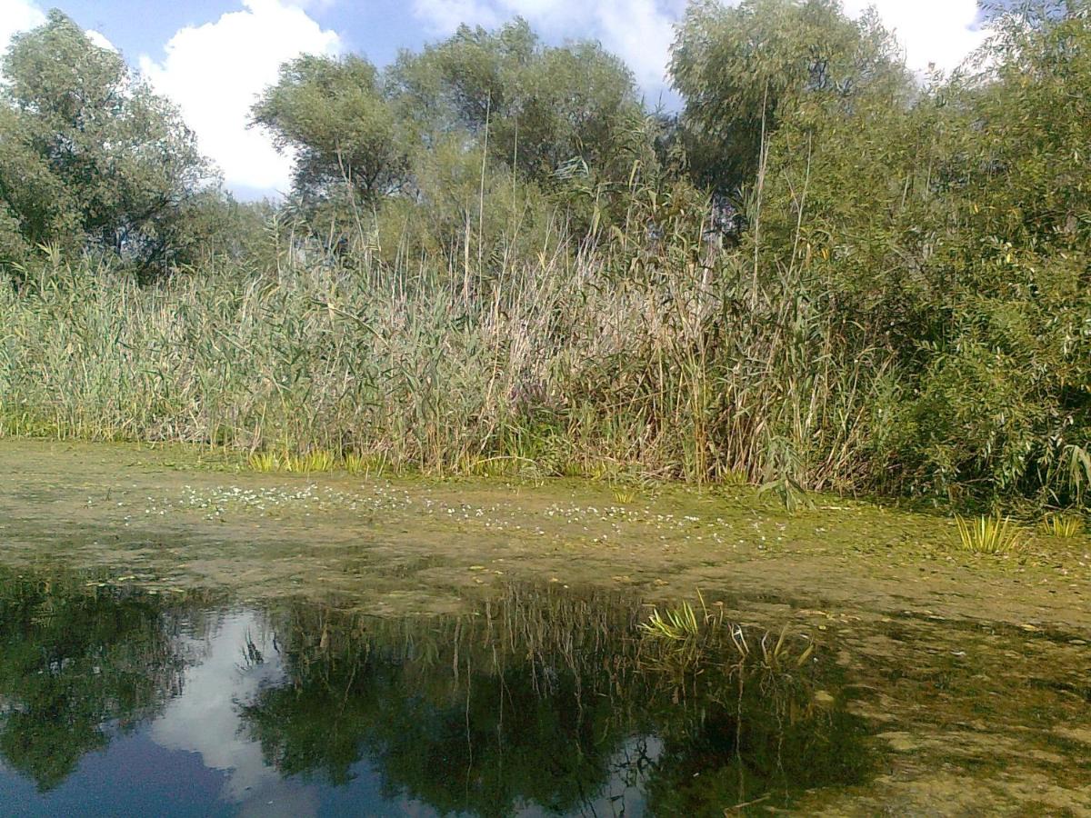 Photo 24