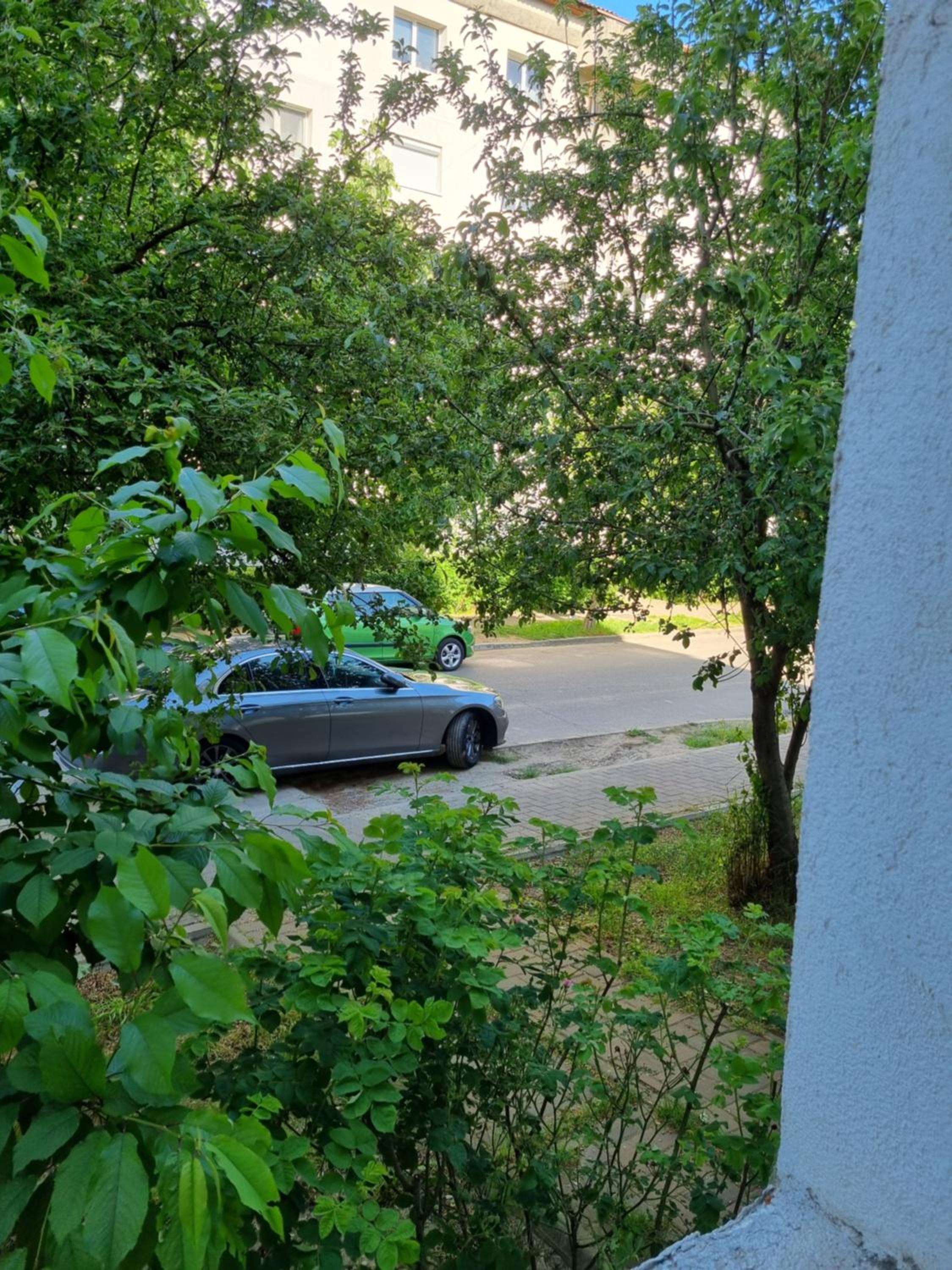 Photo 35