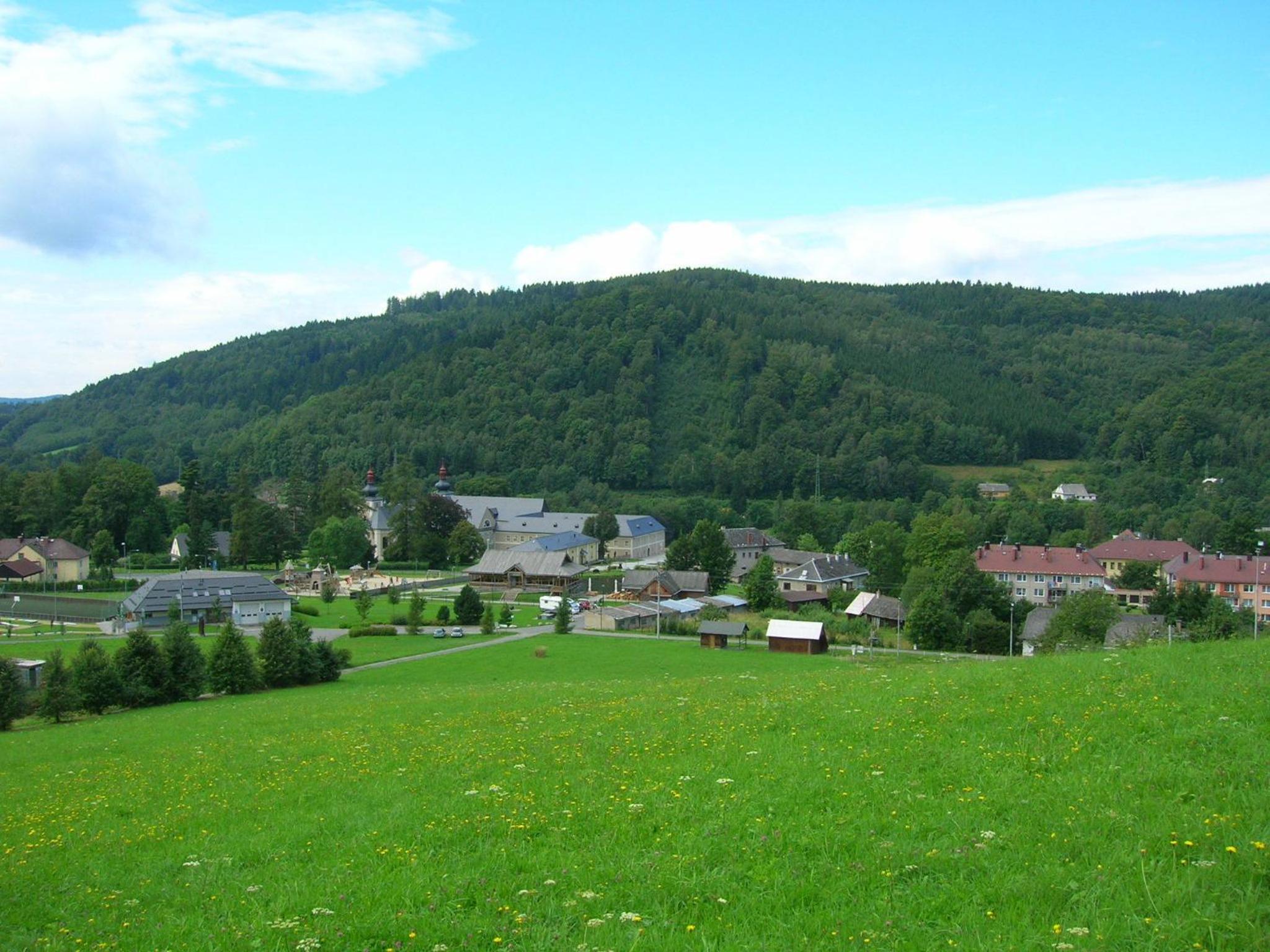 Photo 6