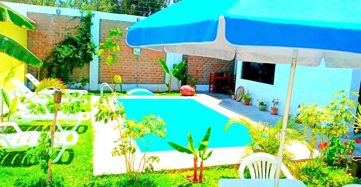 Diamond Monkey Lodge