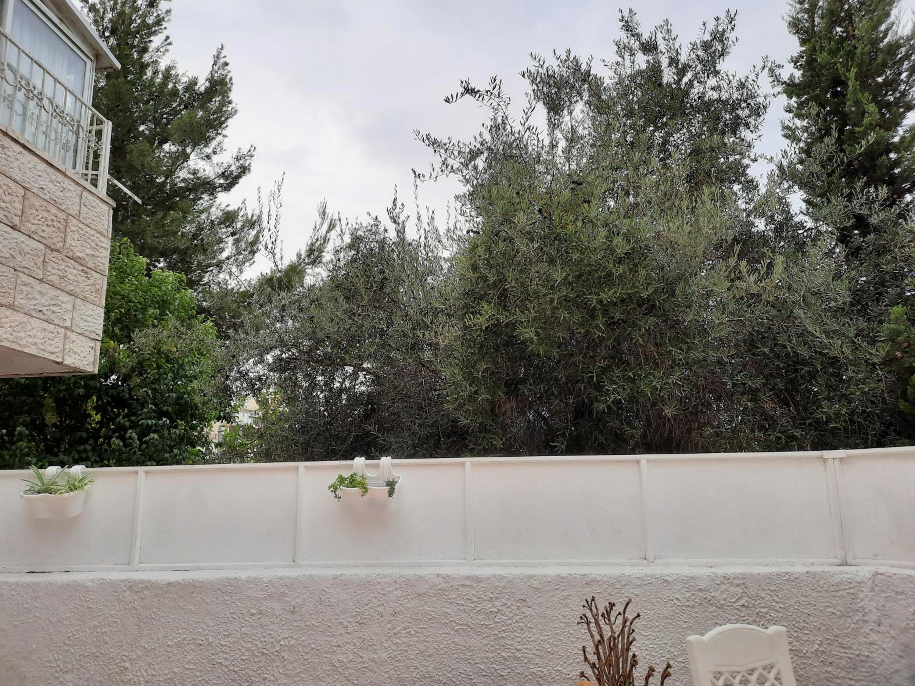 Photo 30