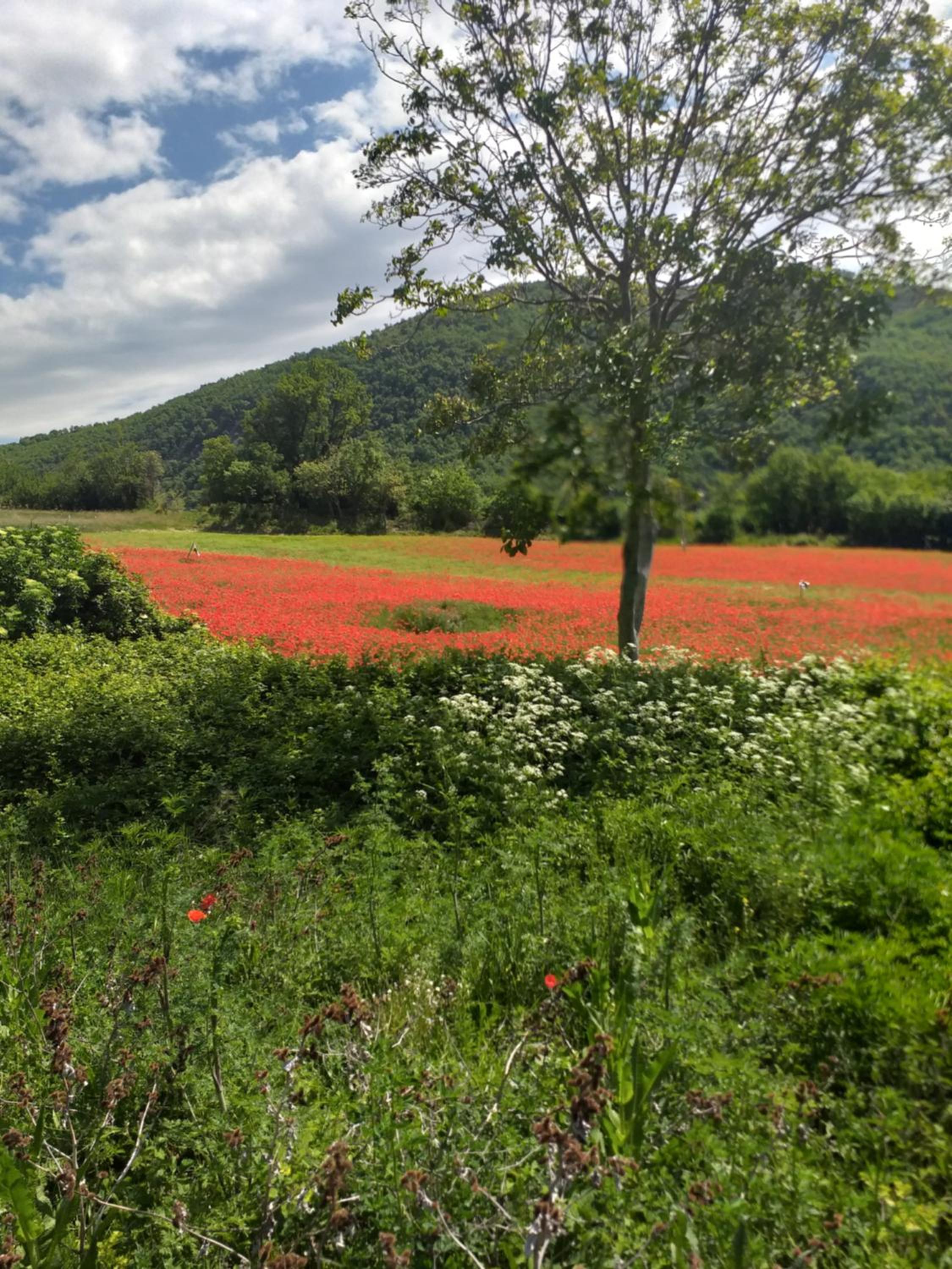 Agriturismo campagna in compagnia