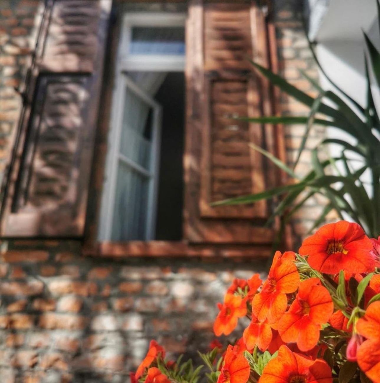 InTown Guesthouse Shkoder