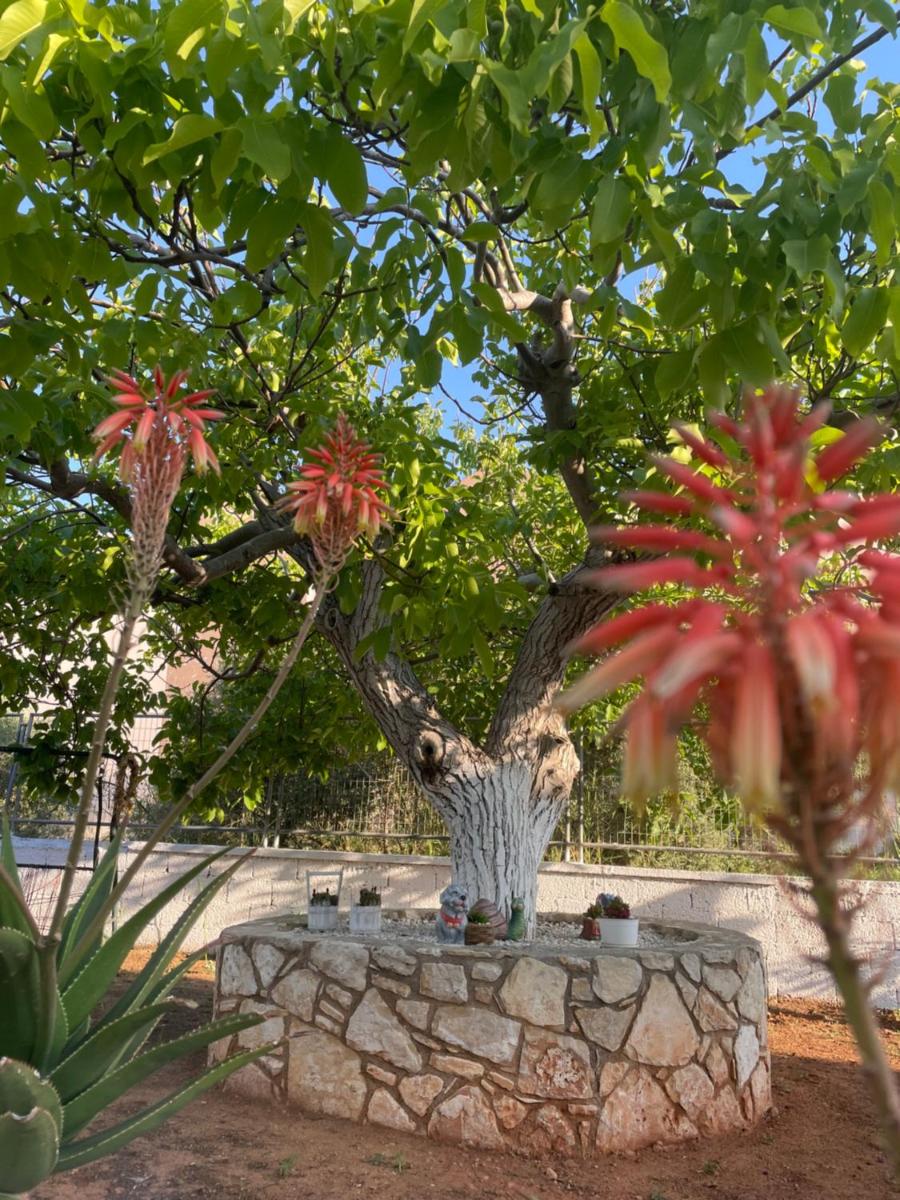 Casa Kairi photo 2