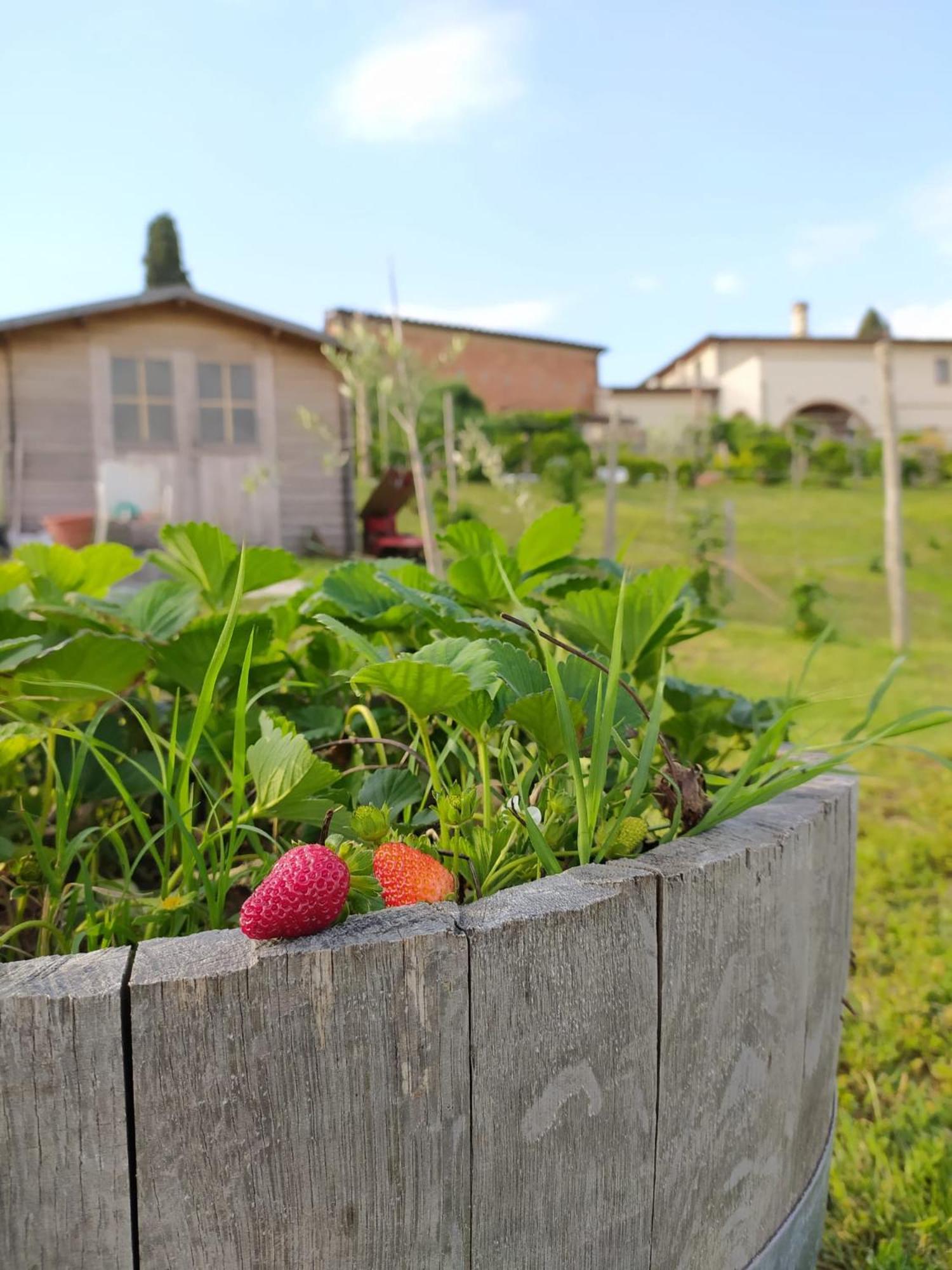 Agriturismo Villa Adimari