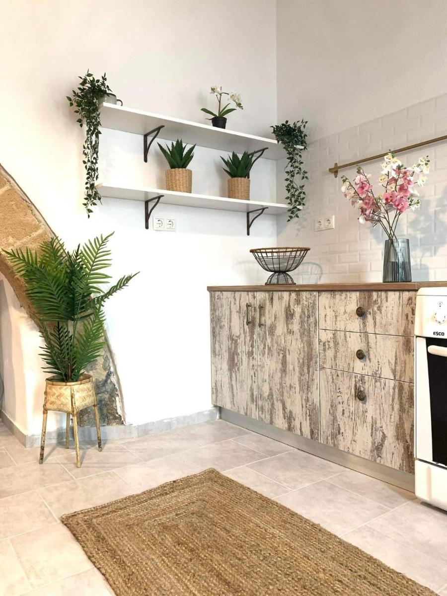 Anemone Traditional House photo 3